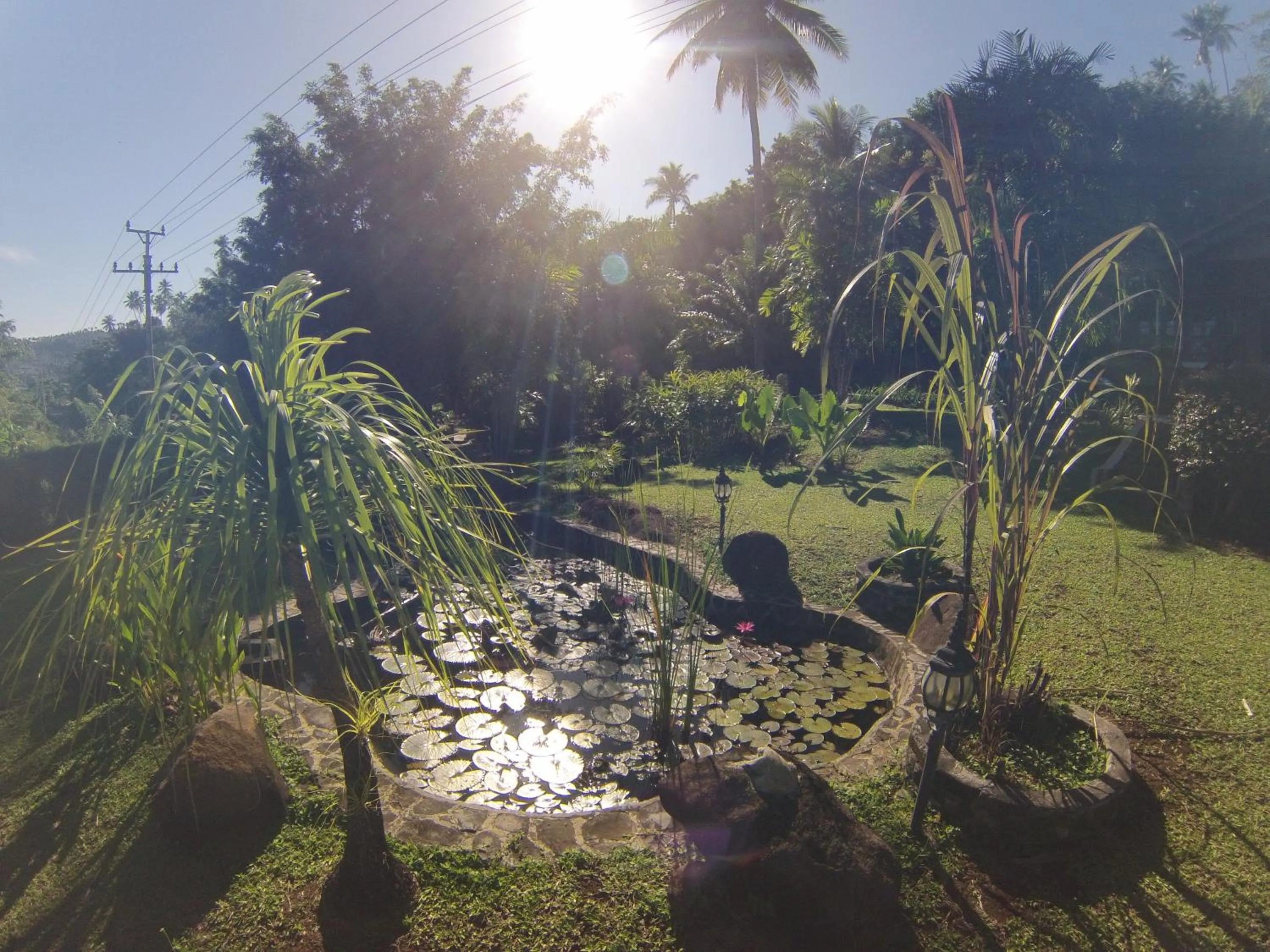 Garden in Lumbalumba Resort - Manado