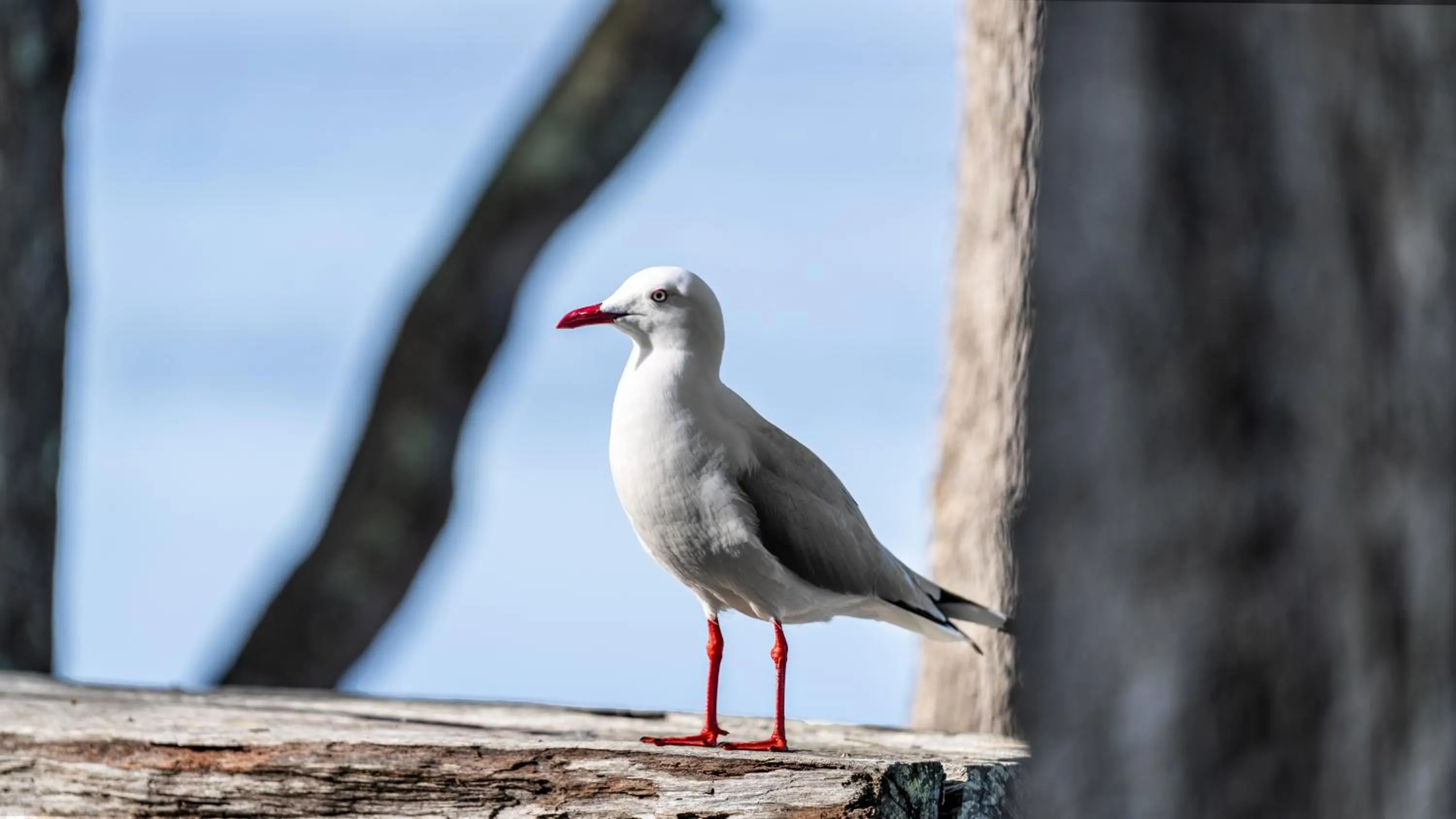 Day in Wooli River Lodges