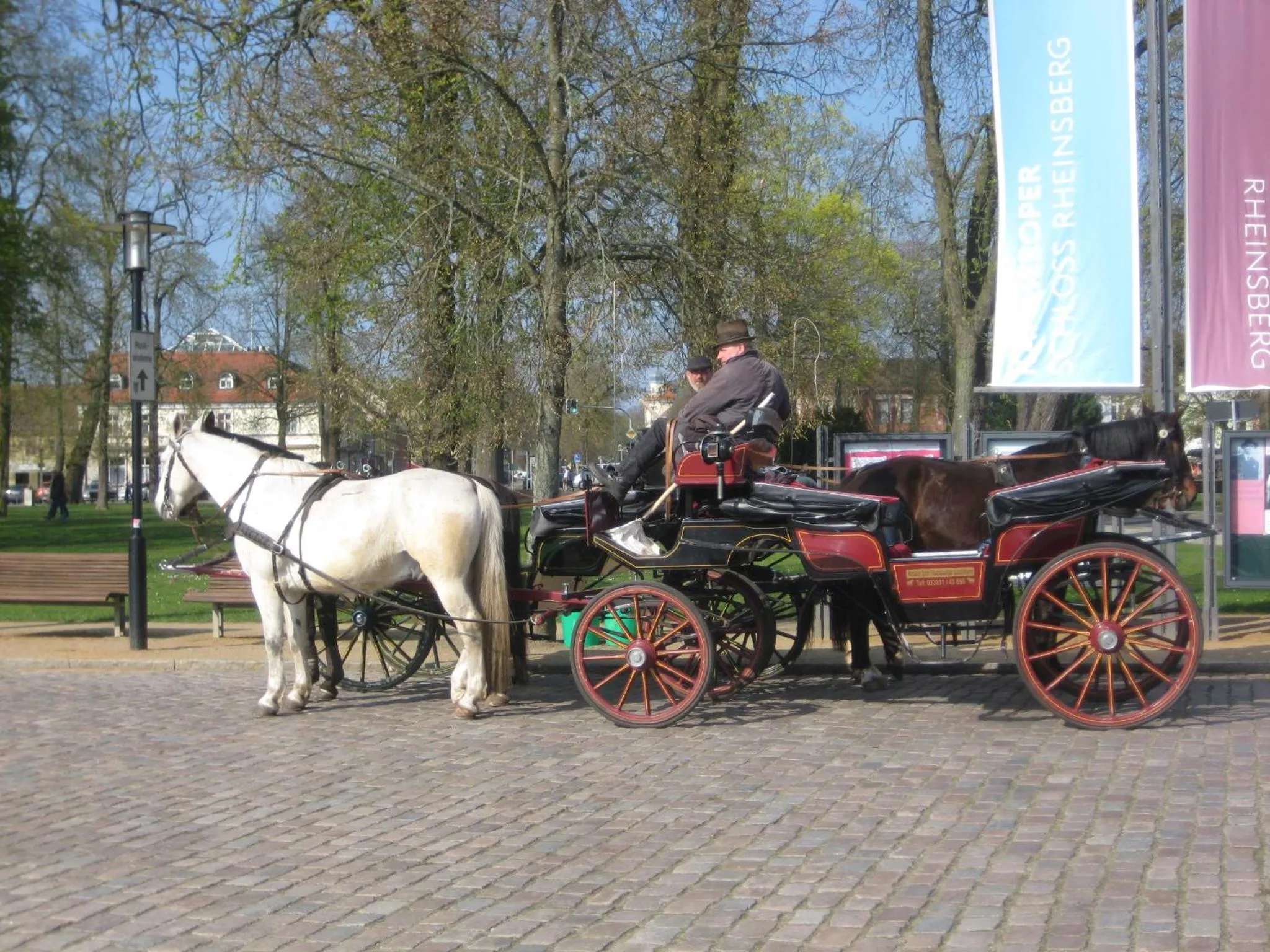 Animals in Schloss-und Seeblick Apartment