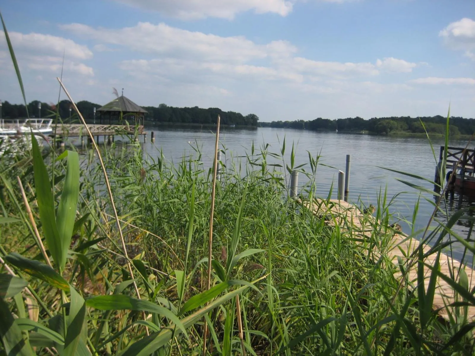 Natural landscape in Schloss-und Seeblick Apartment