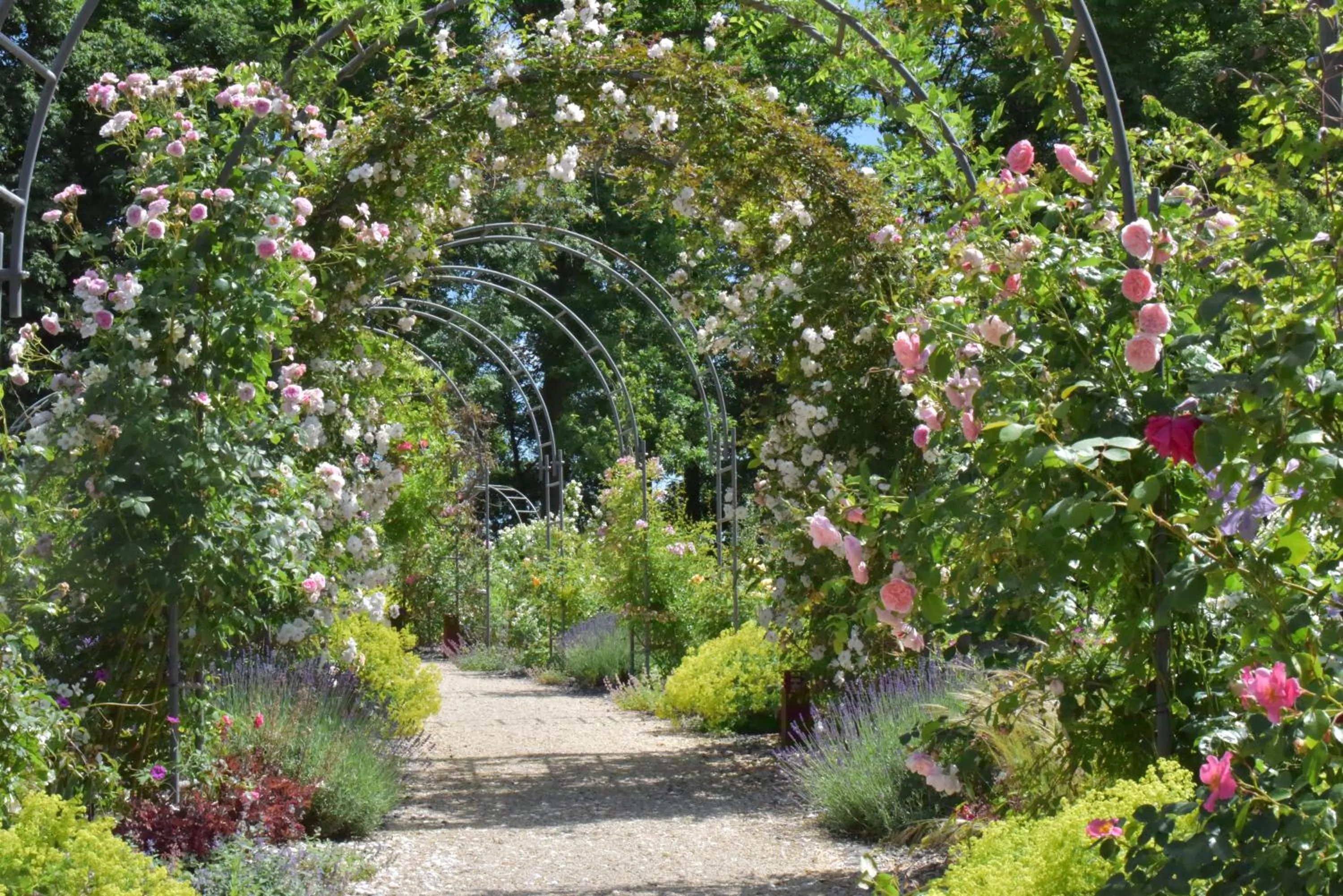 Garden in Mondorf Parc Hotel & Spa