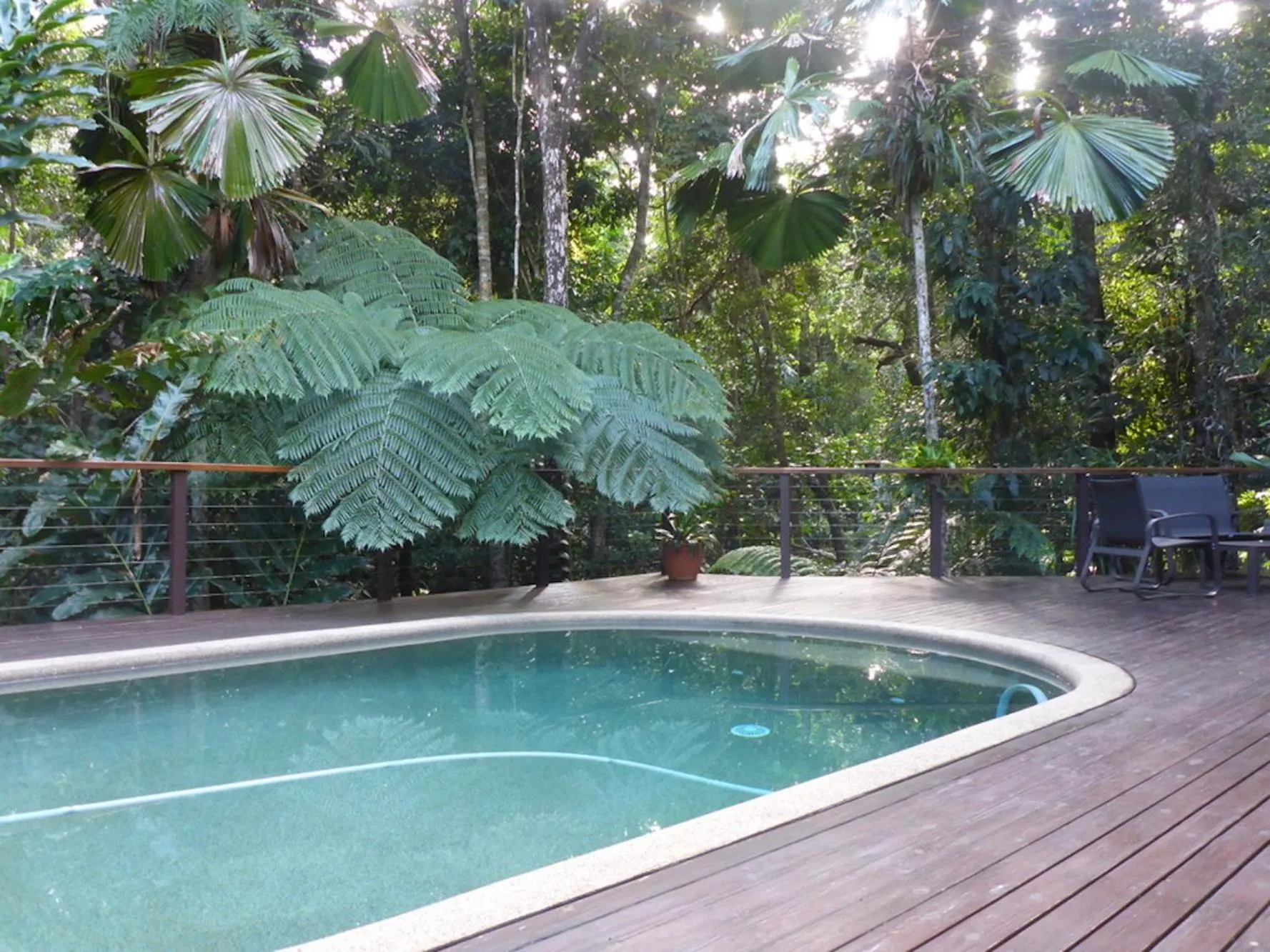 Swimming pool in Kuranda Ngorongoro Lodge