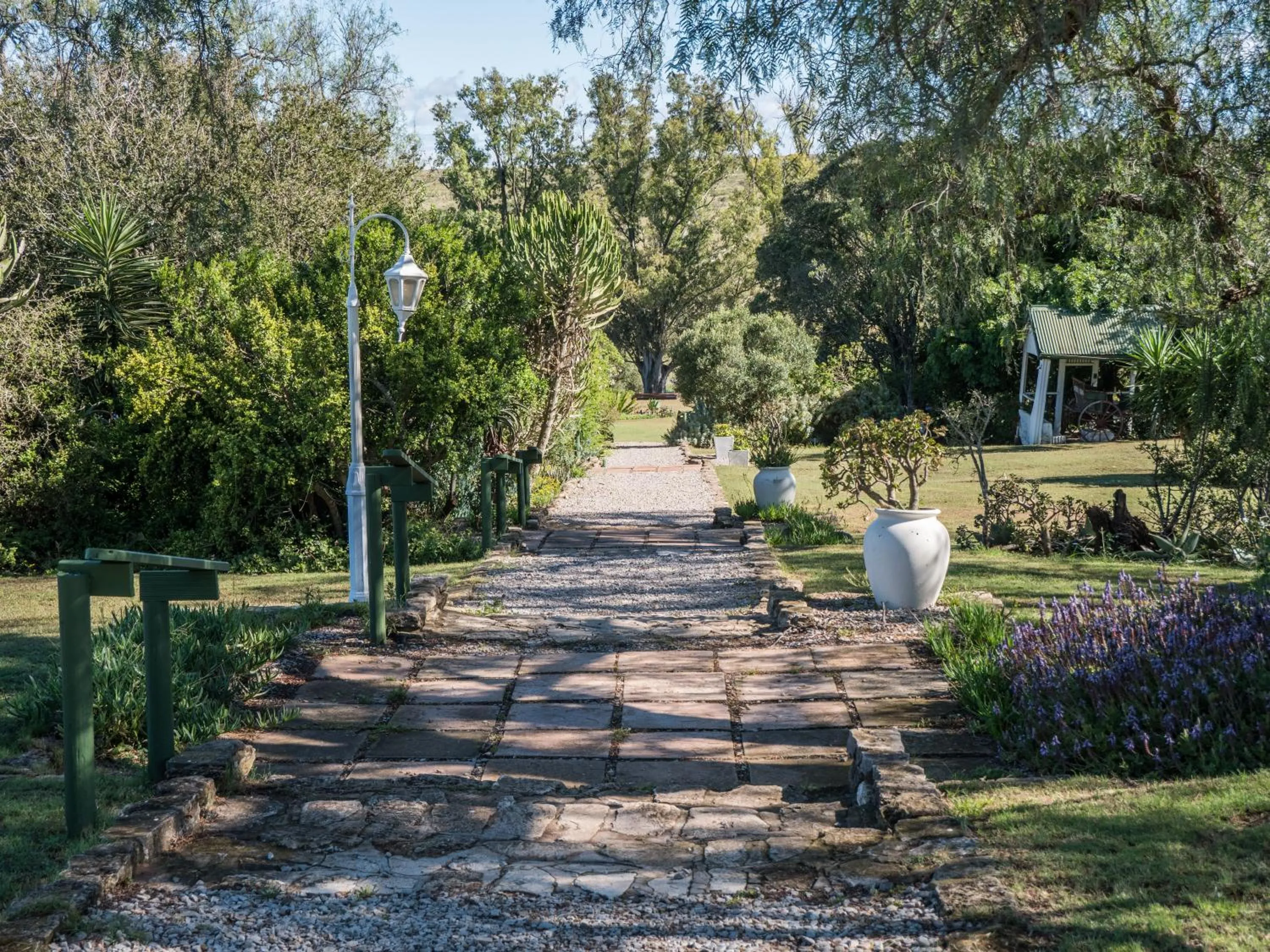 Garden in Leeuwenbosch Shearers Lodge - Amakhala Game Reserve
