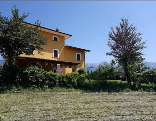 Viale dei Ciliegi