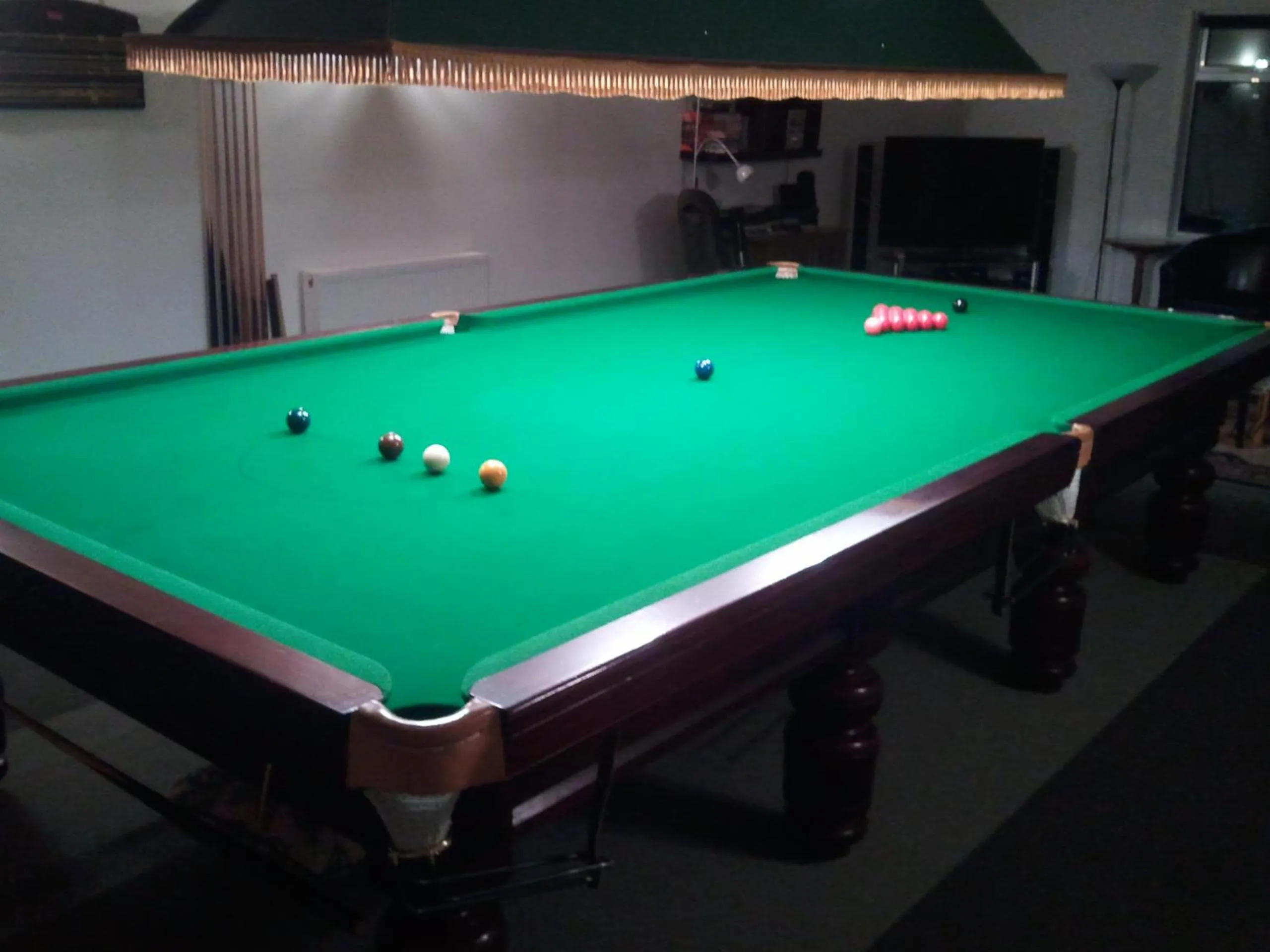 Billiard in Premier Room