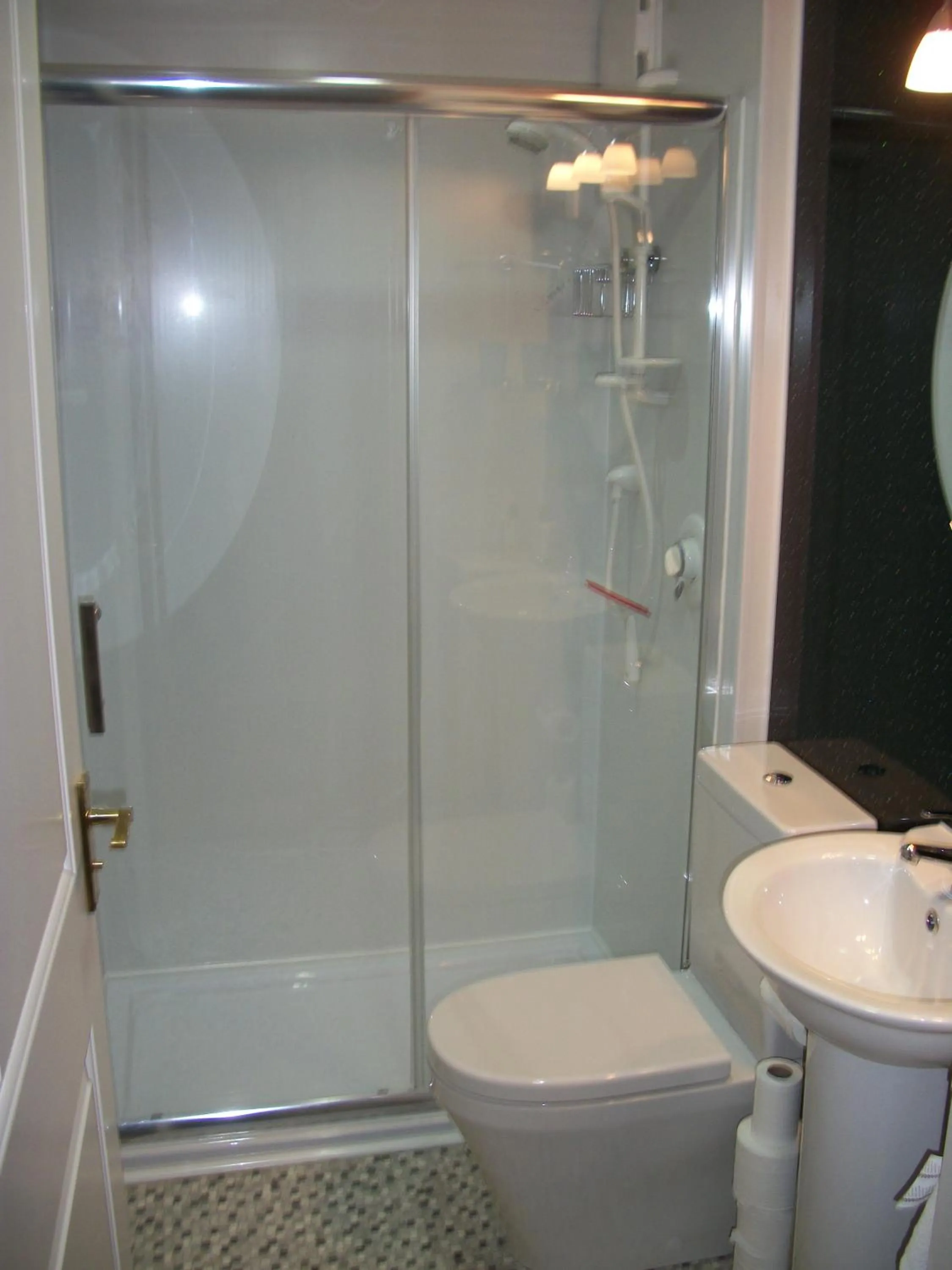 Shower in Premier Room