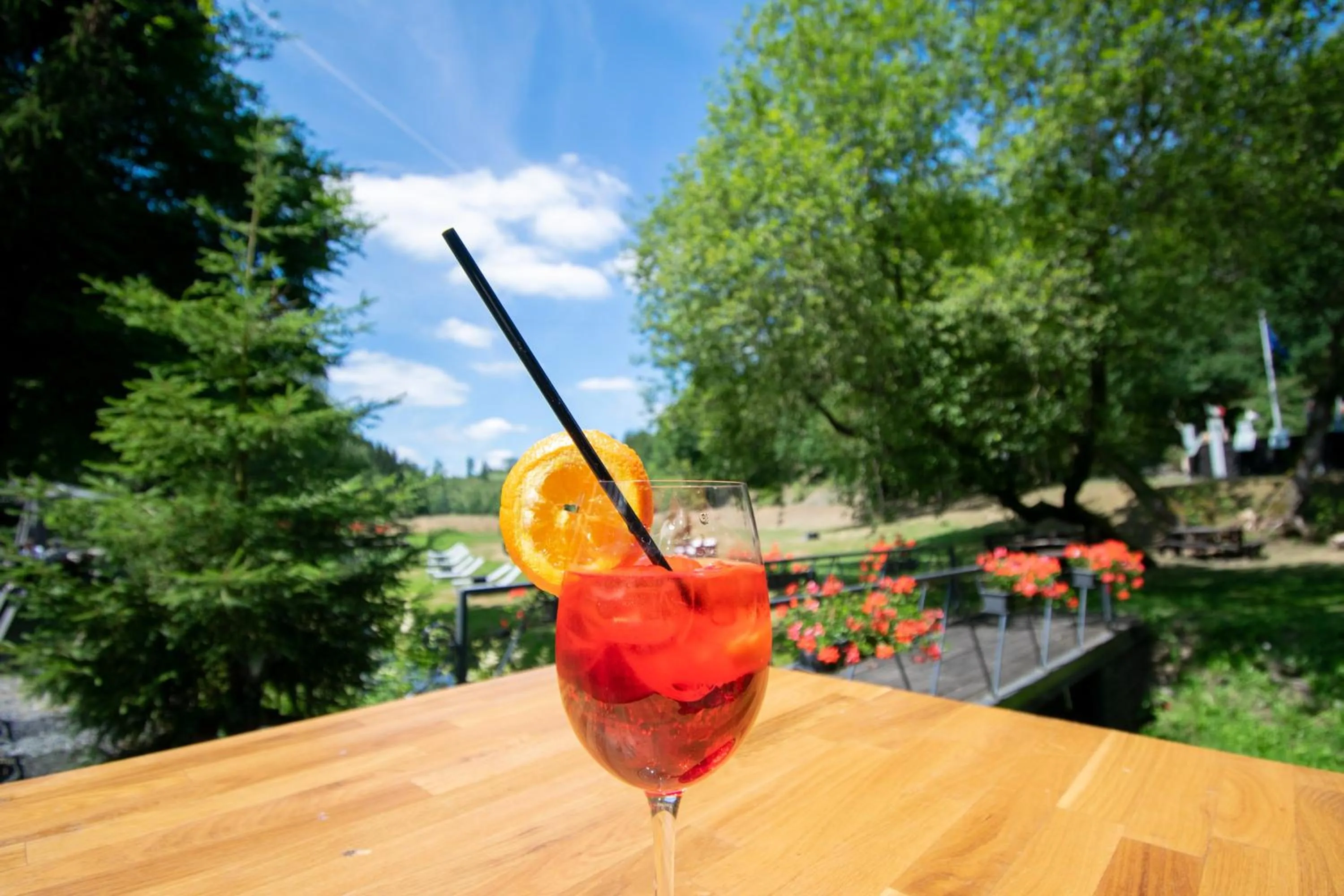 Spring in Domaine du Moulin d'Asselborn