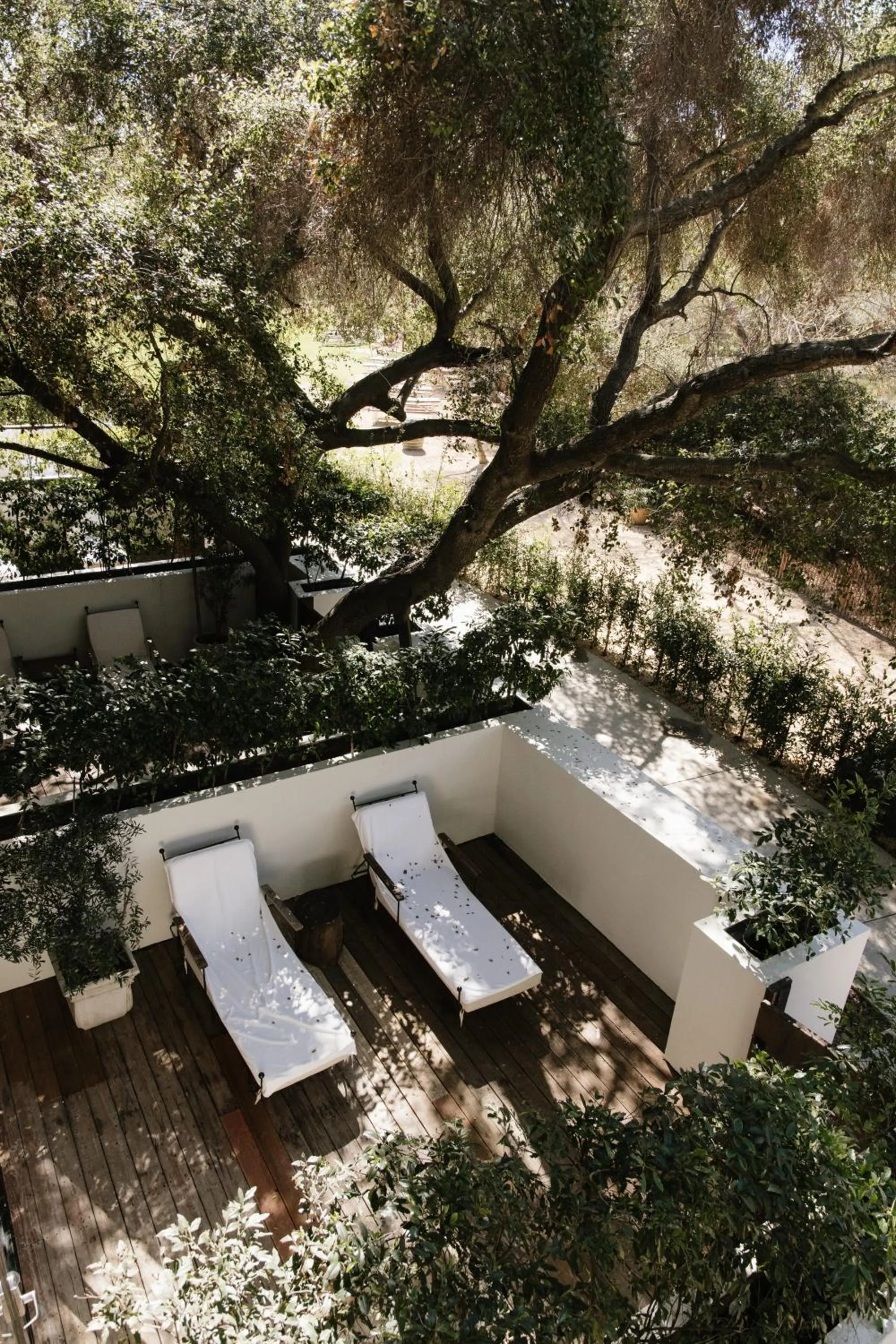 View (from property/room) in Calamigos Guest Ranch and Beach Club