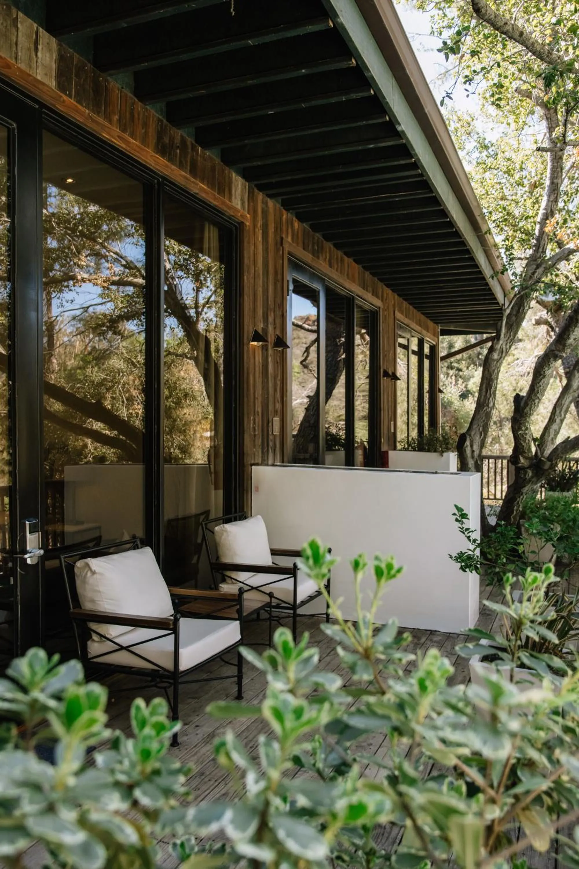 Patio in Calamigos Guest Ranch and Beach Club
