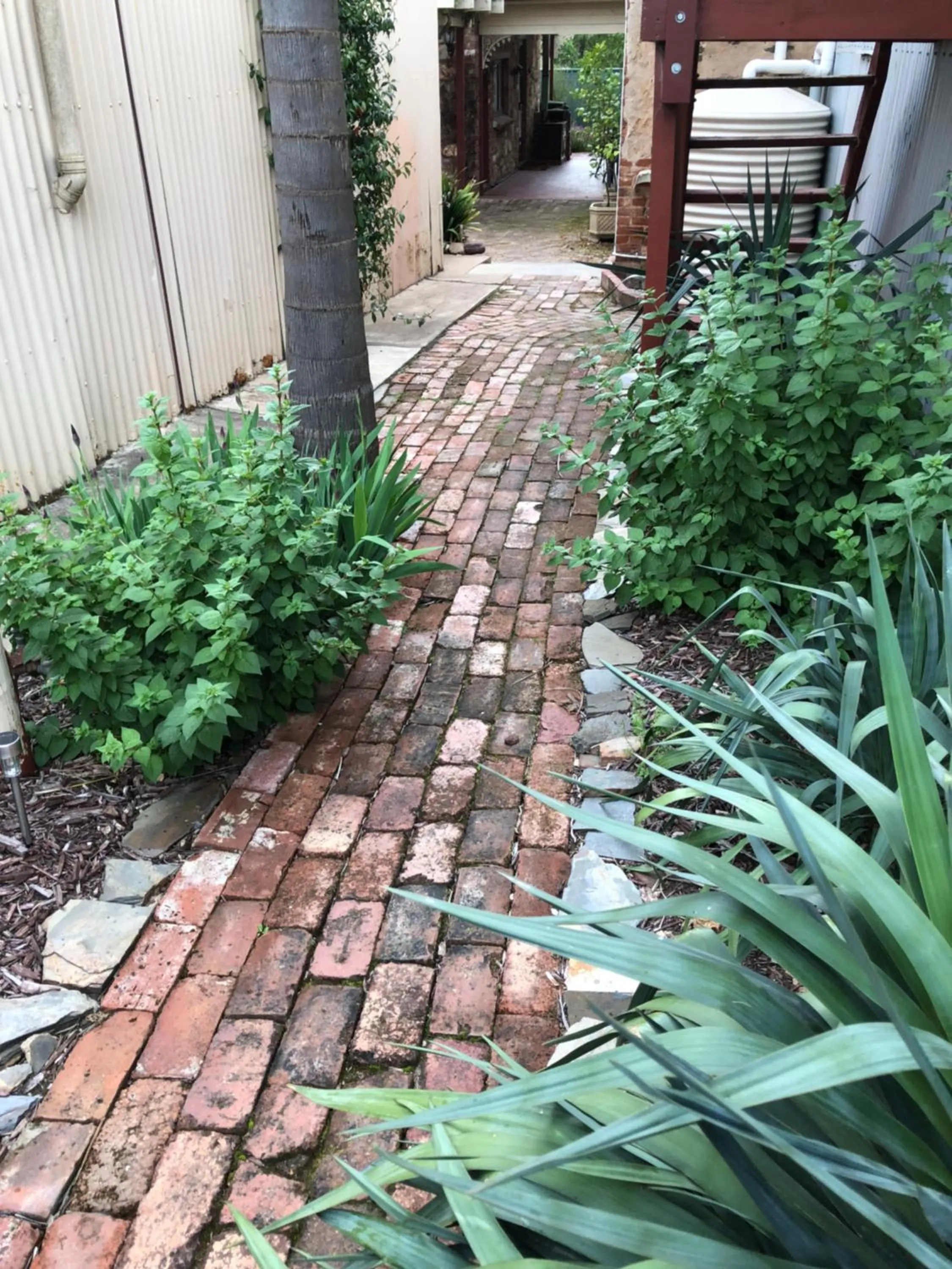 Garden in Barossa Barn Bed and Breakfast
