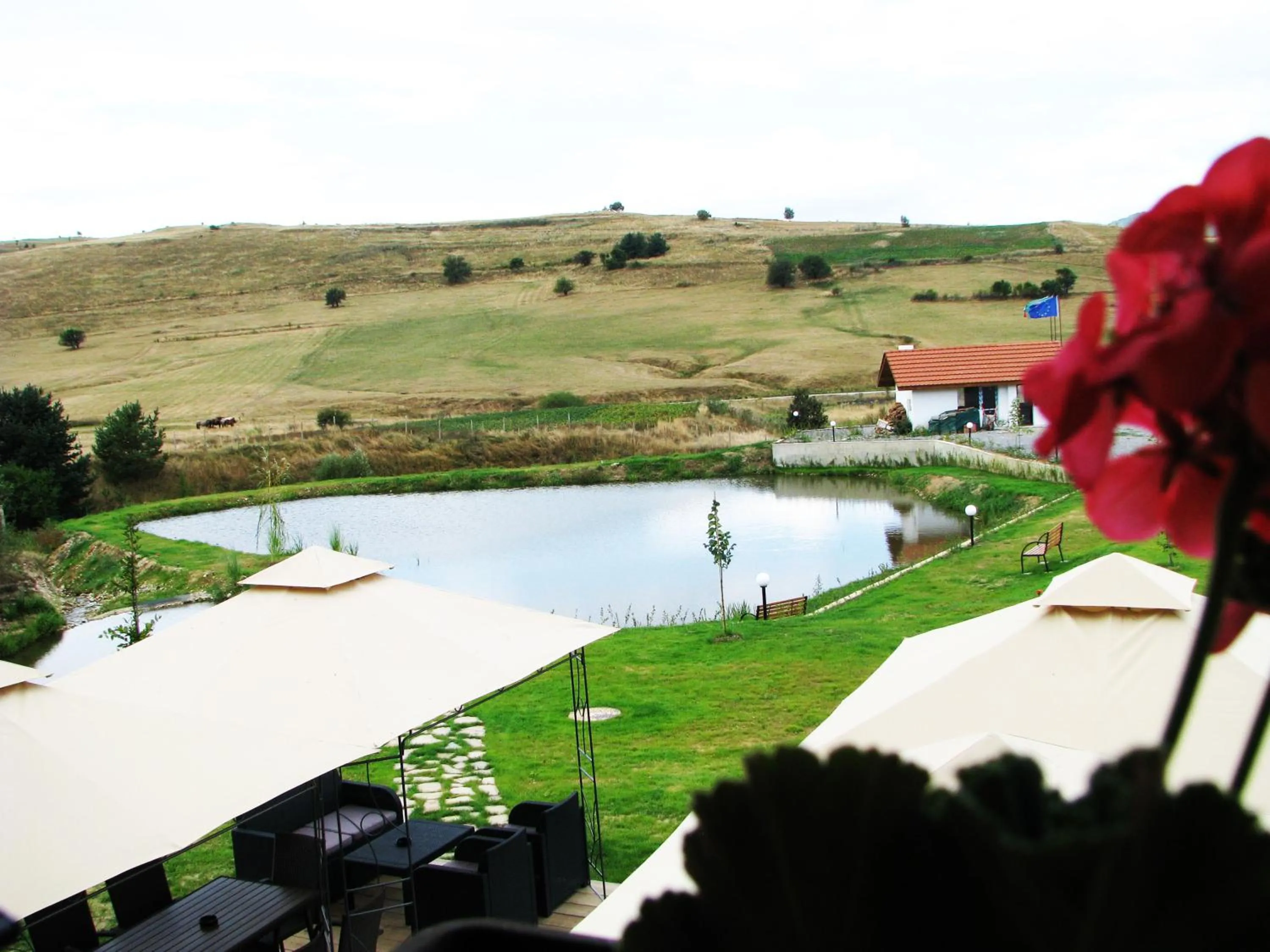 Lake view in Park Hotel Eagle Stone