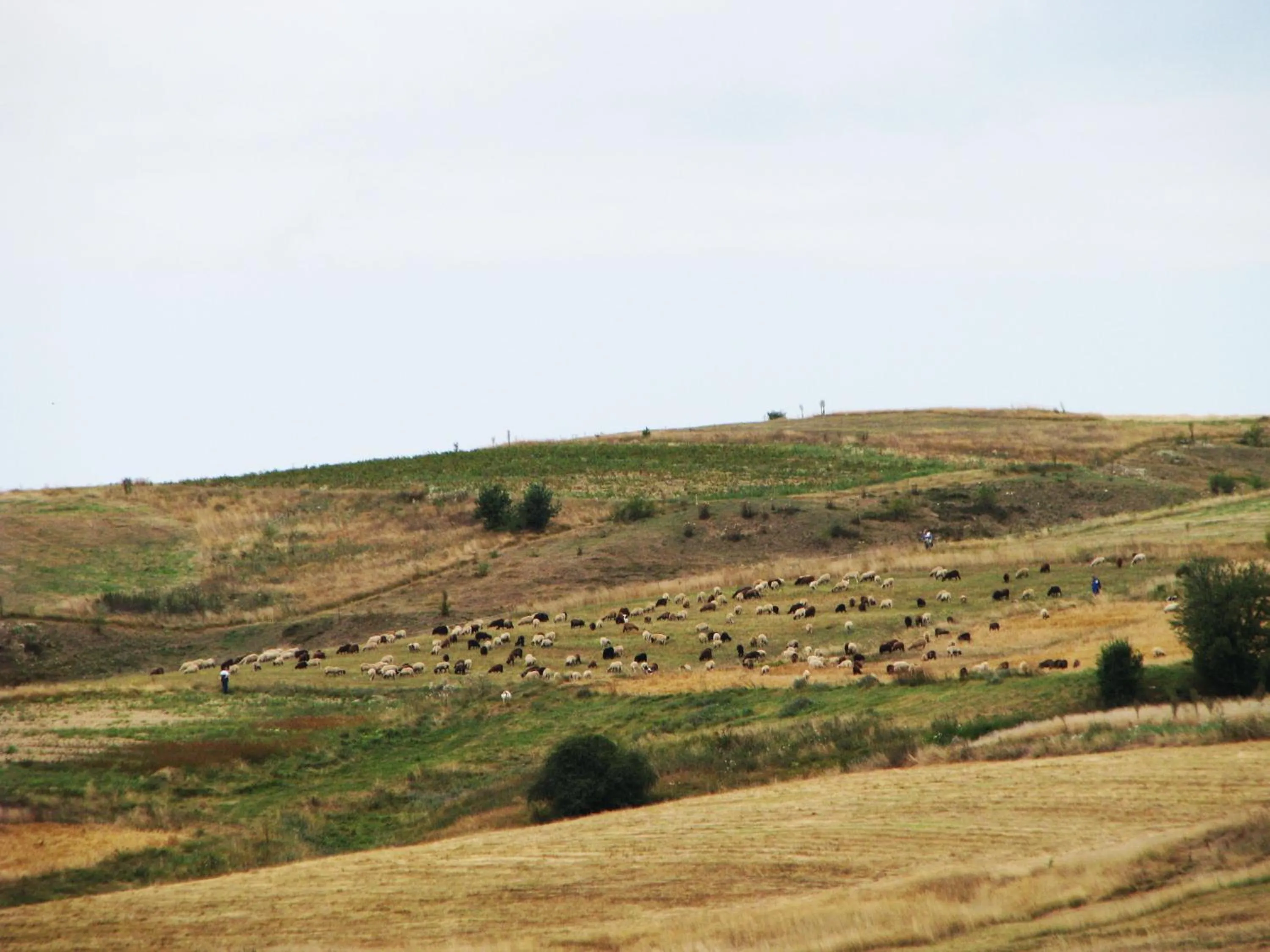 Park Hotel Eagle Stone