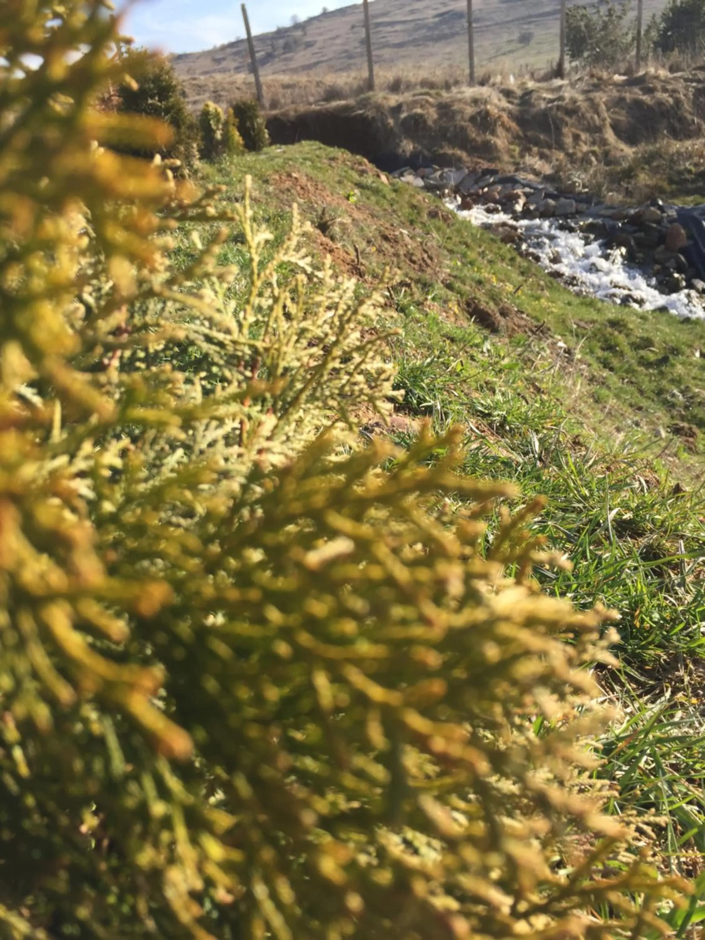 Park Hotel Eagle Stone