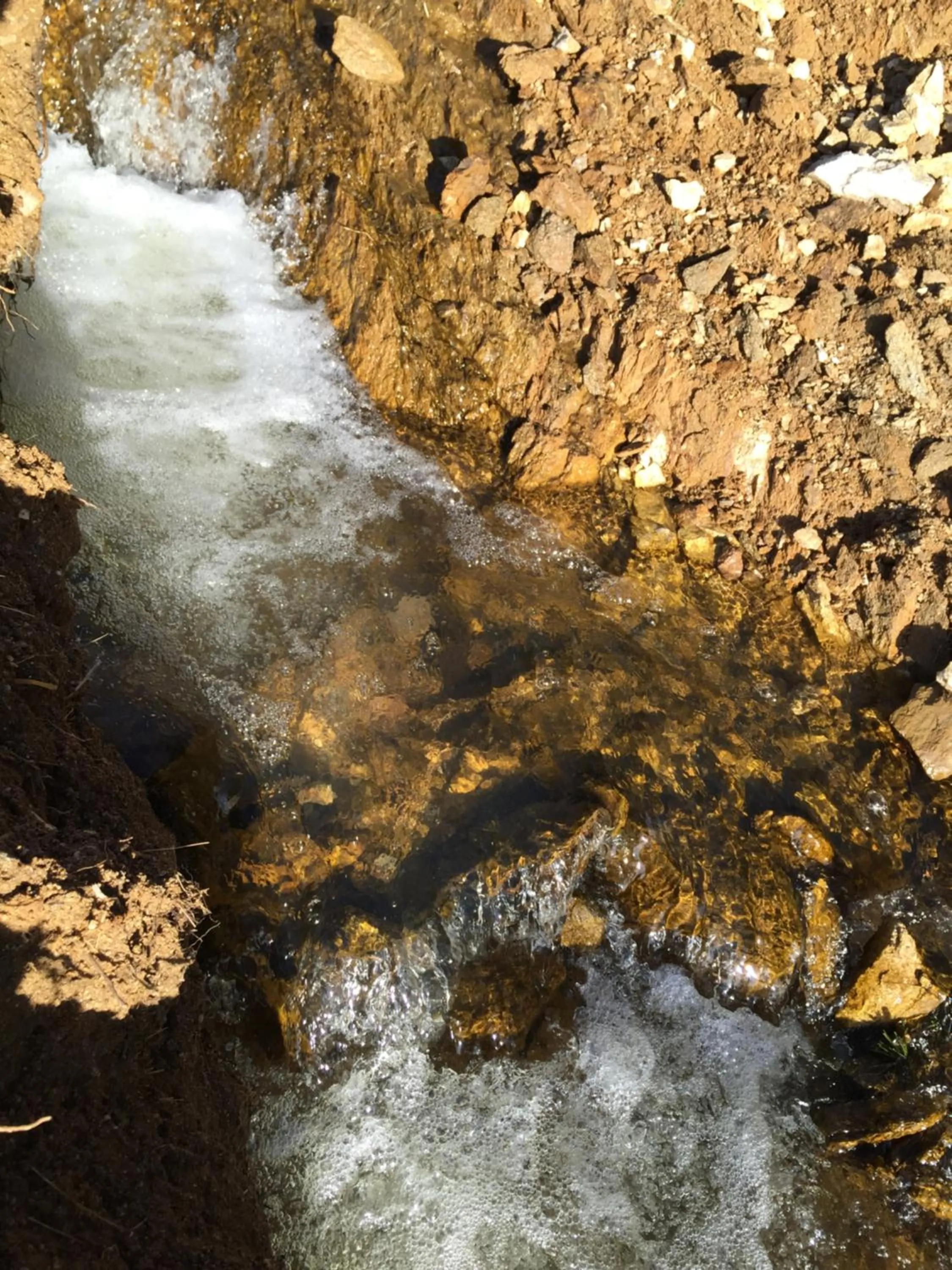 Park Hotel Eagle Stone