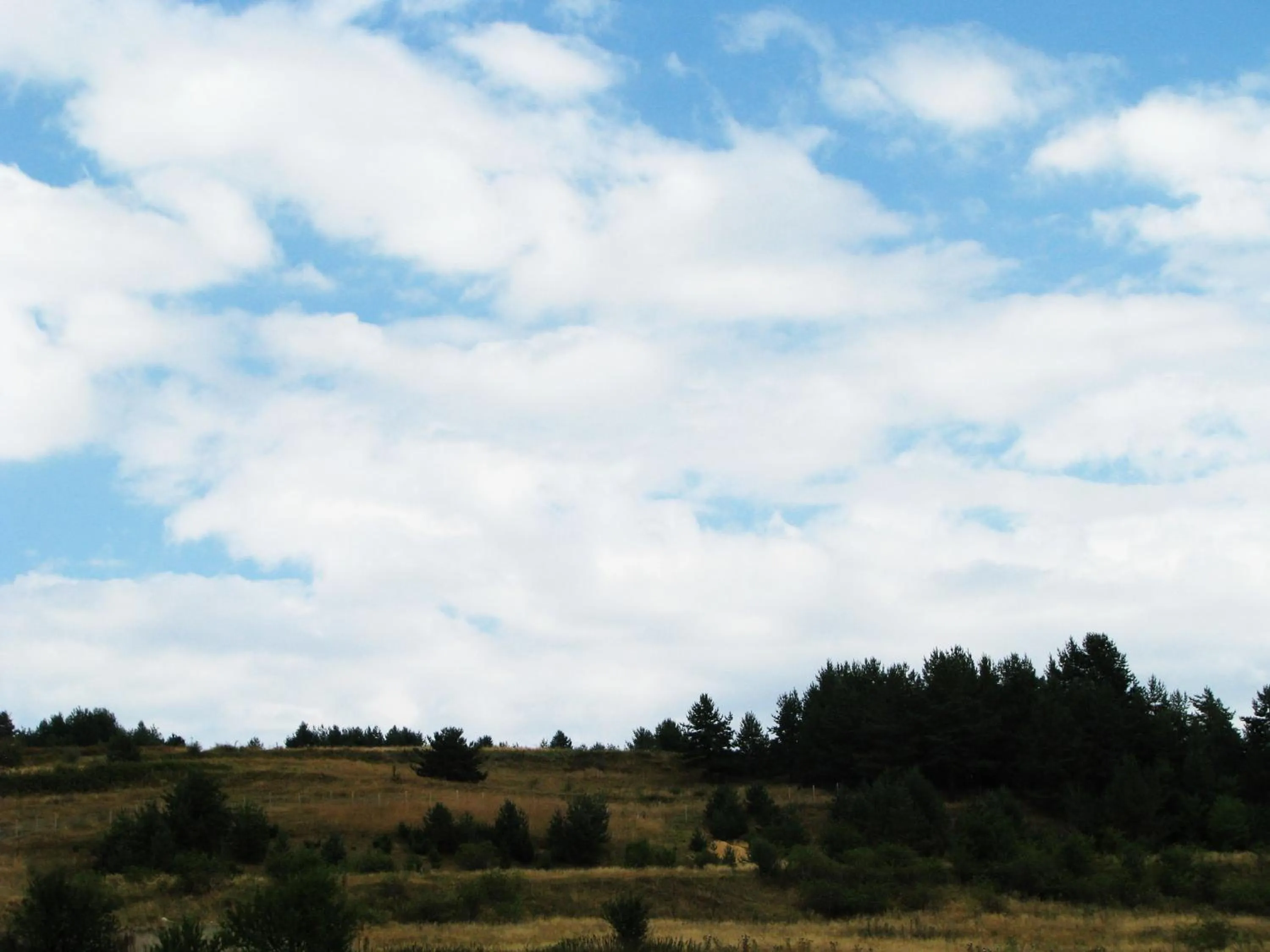 Park Hotel Eagle Stone