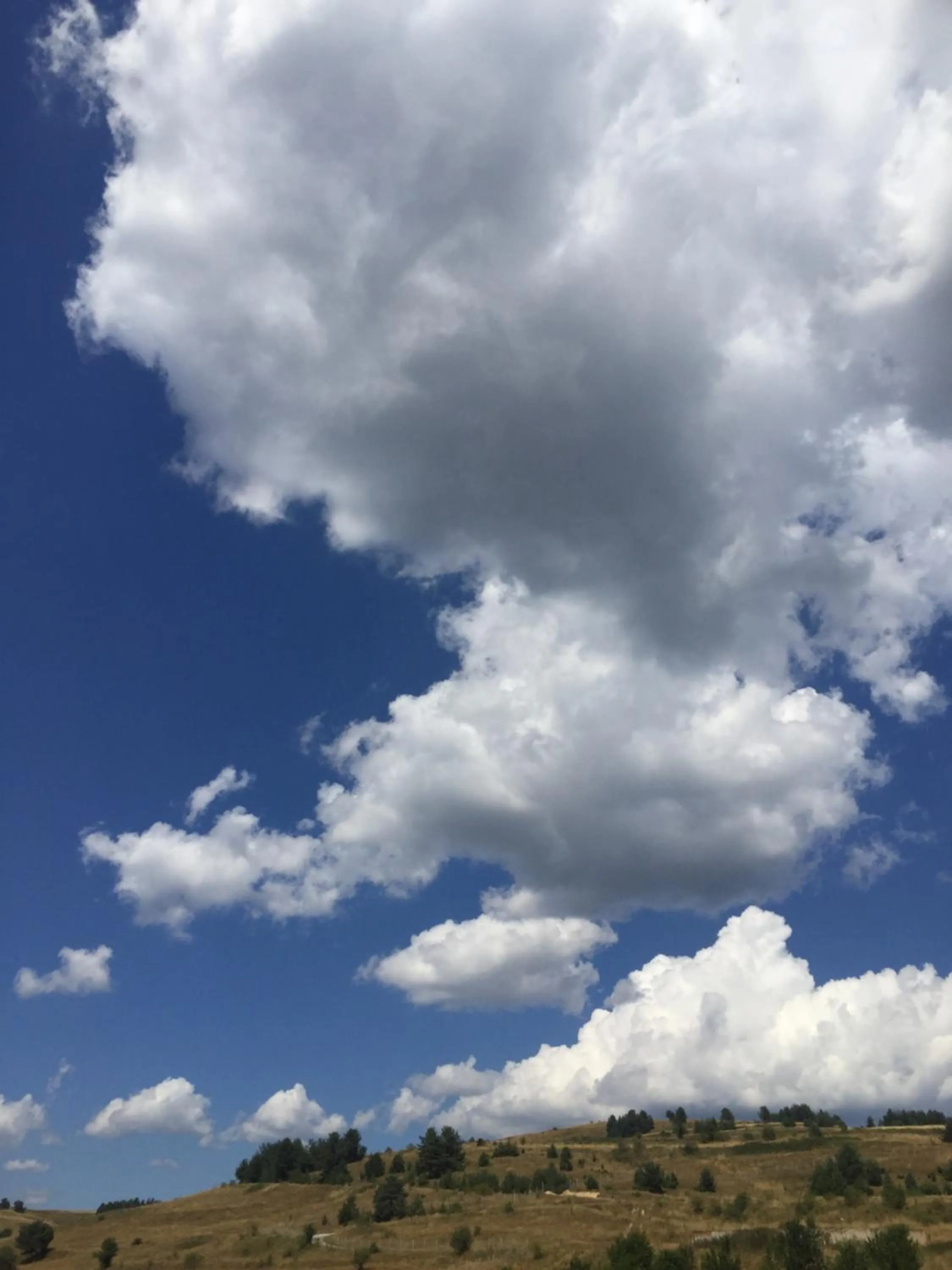 Park Hotel Eagle Stone