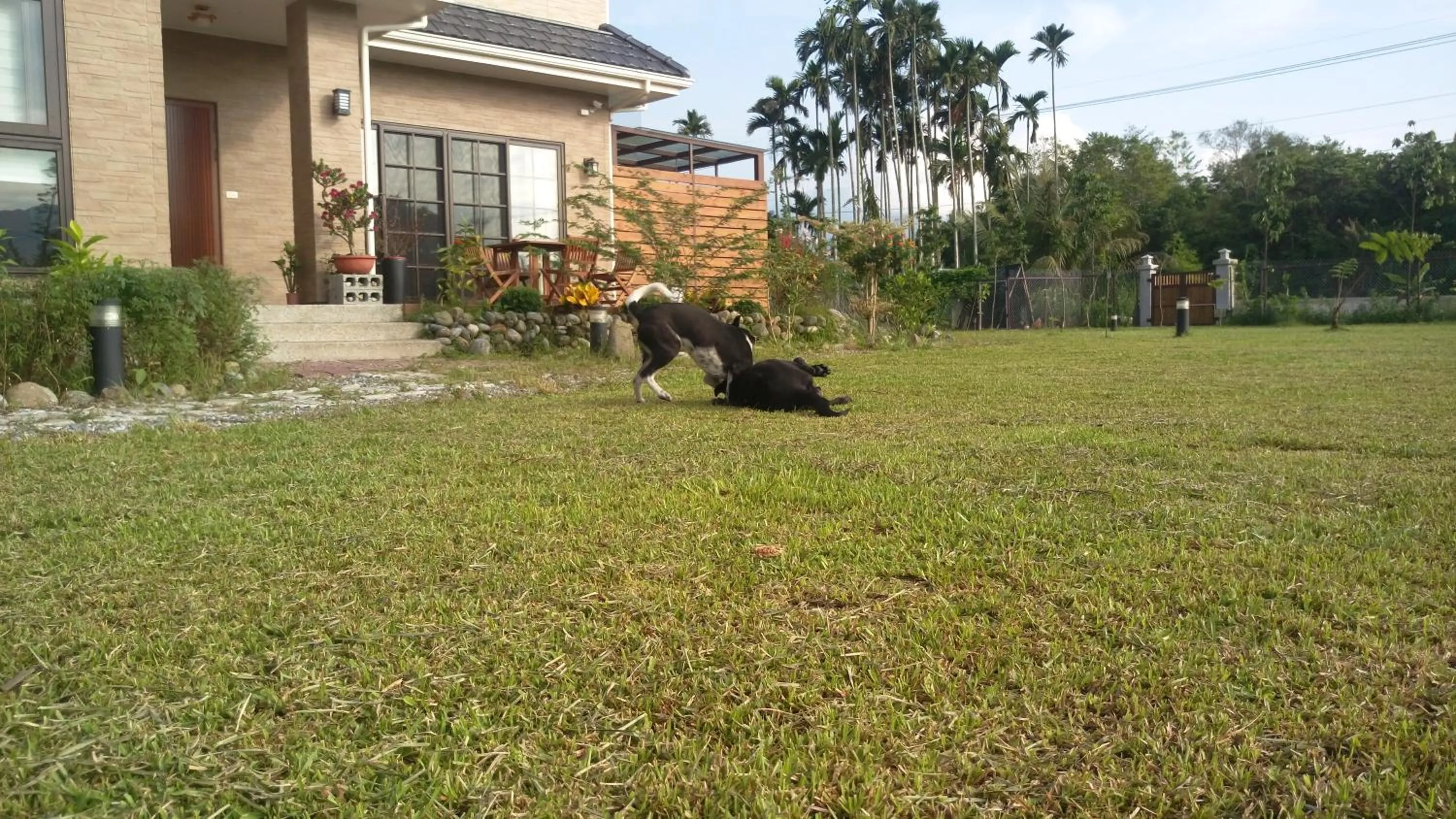 Garden view in Celine's B&B