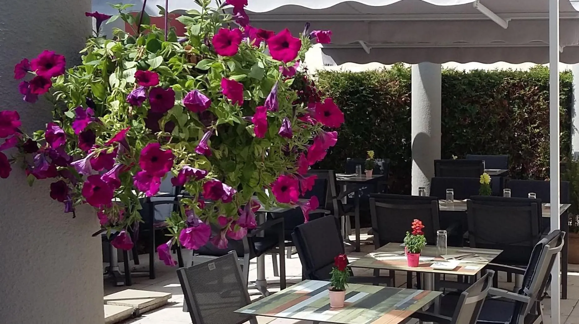 Patio in Cottage Logis Hôtel - Restaurant