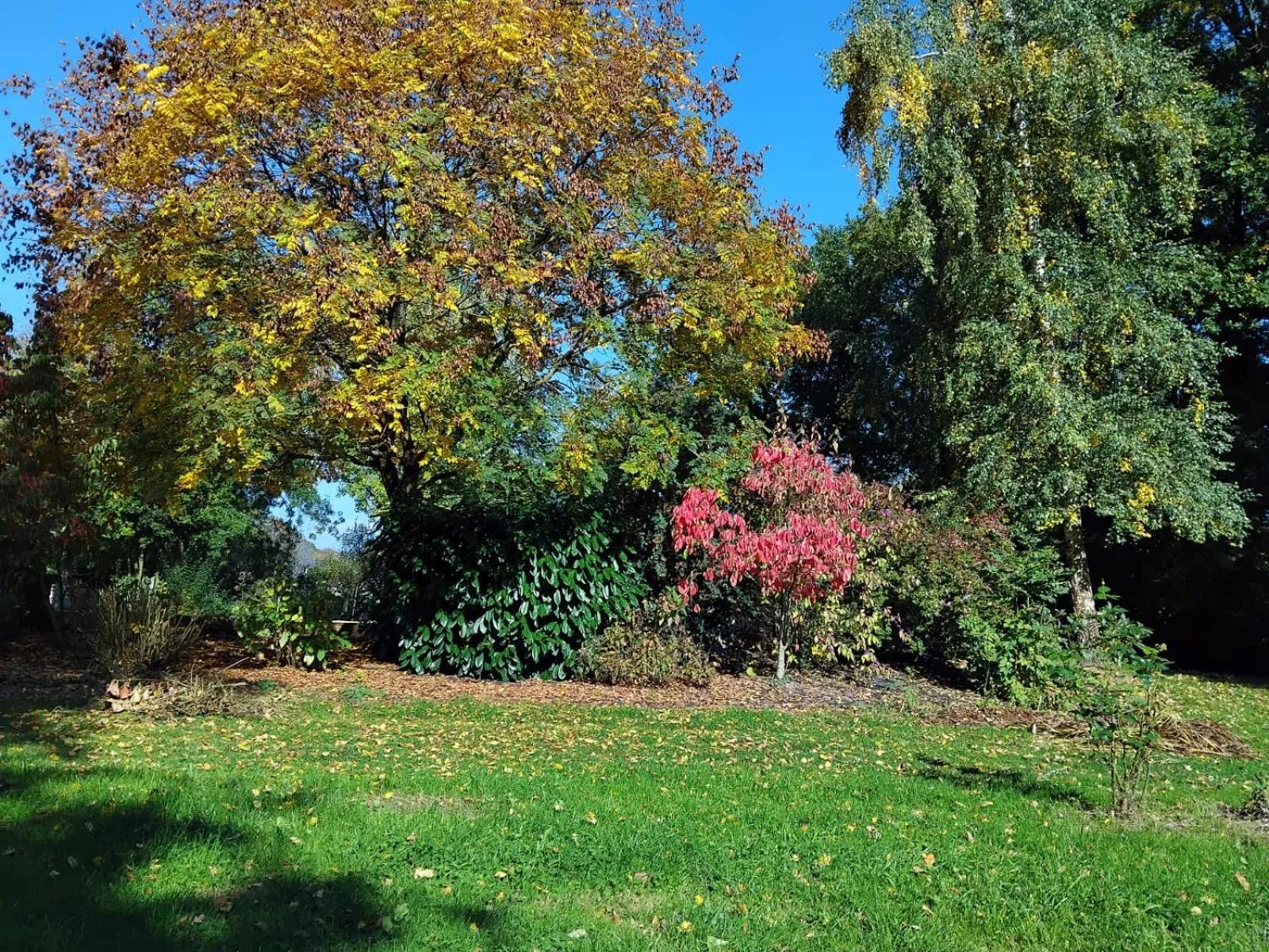 Garden in Gite Le Relais Saint Michel