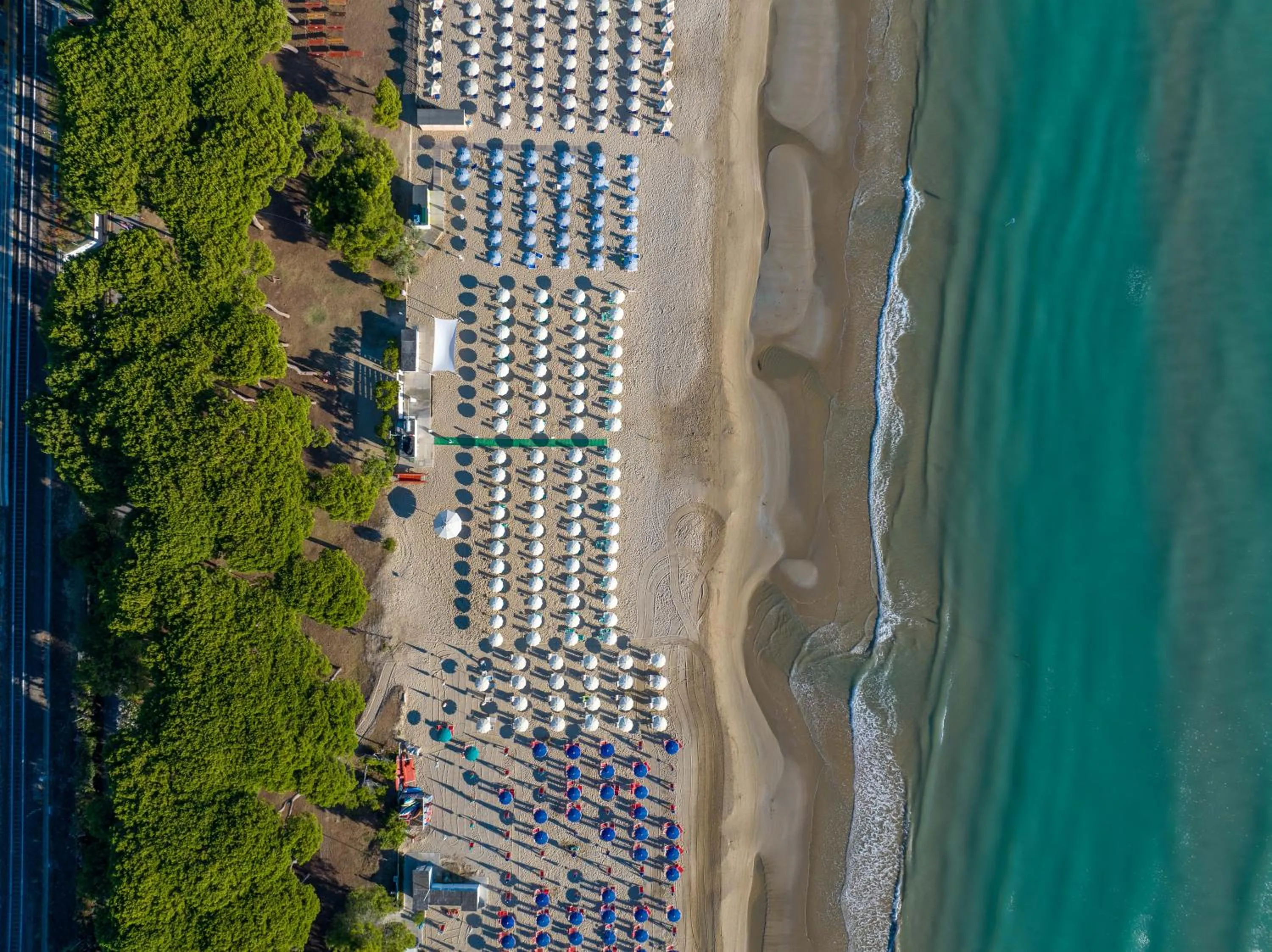 Beach in Hotel La Pineta