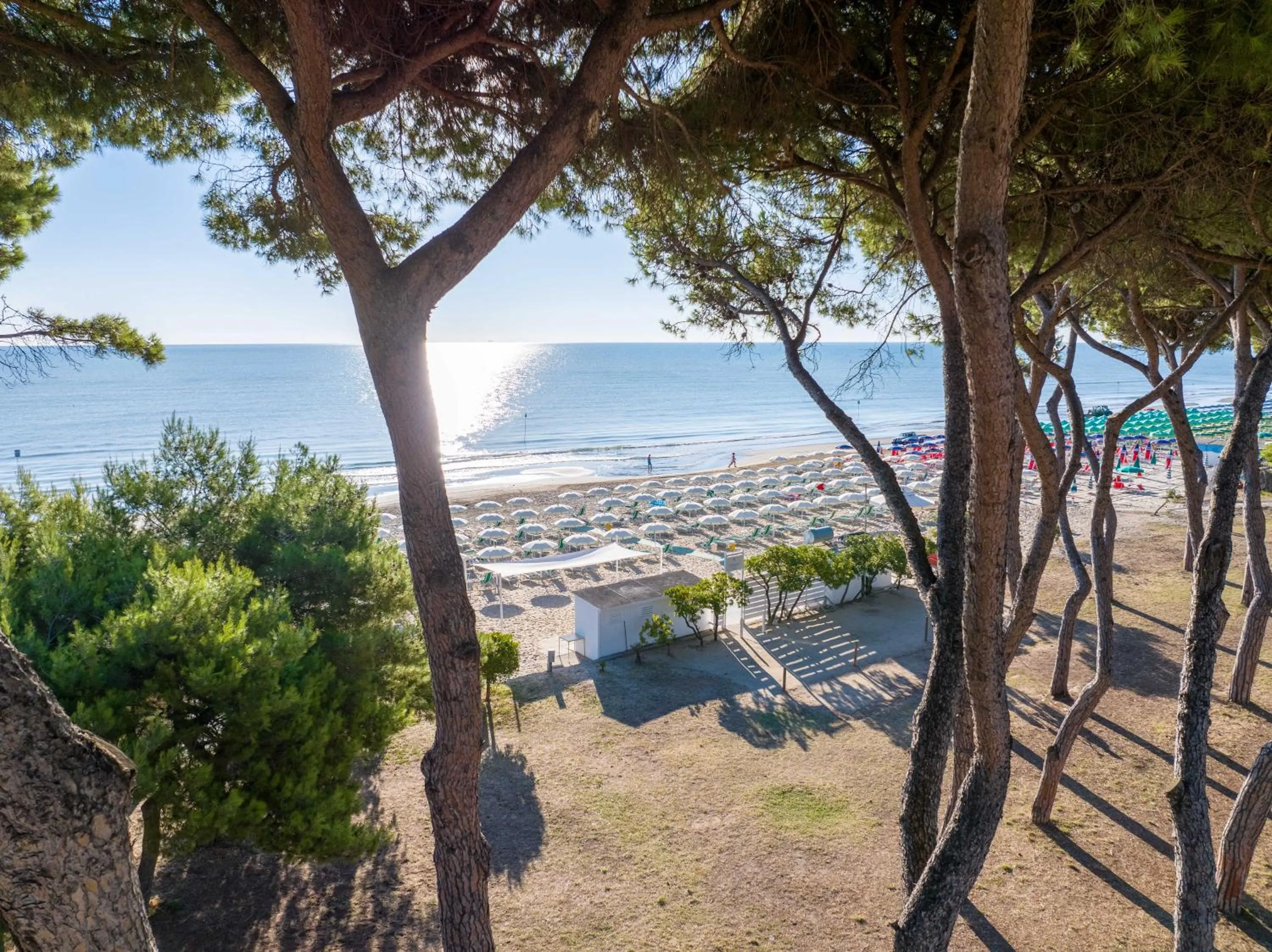 Beach in Hotel La Pineta