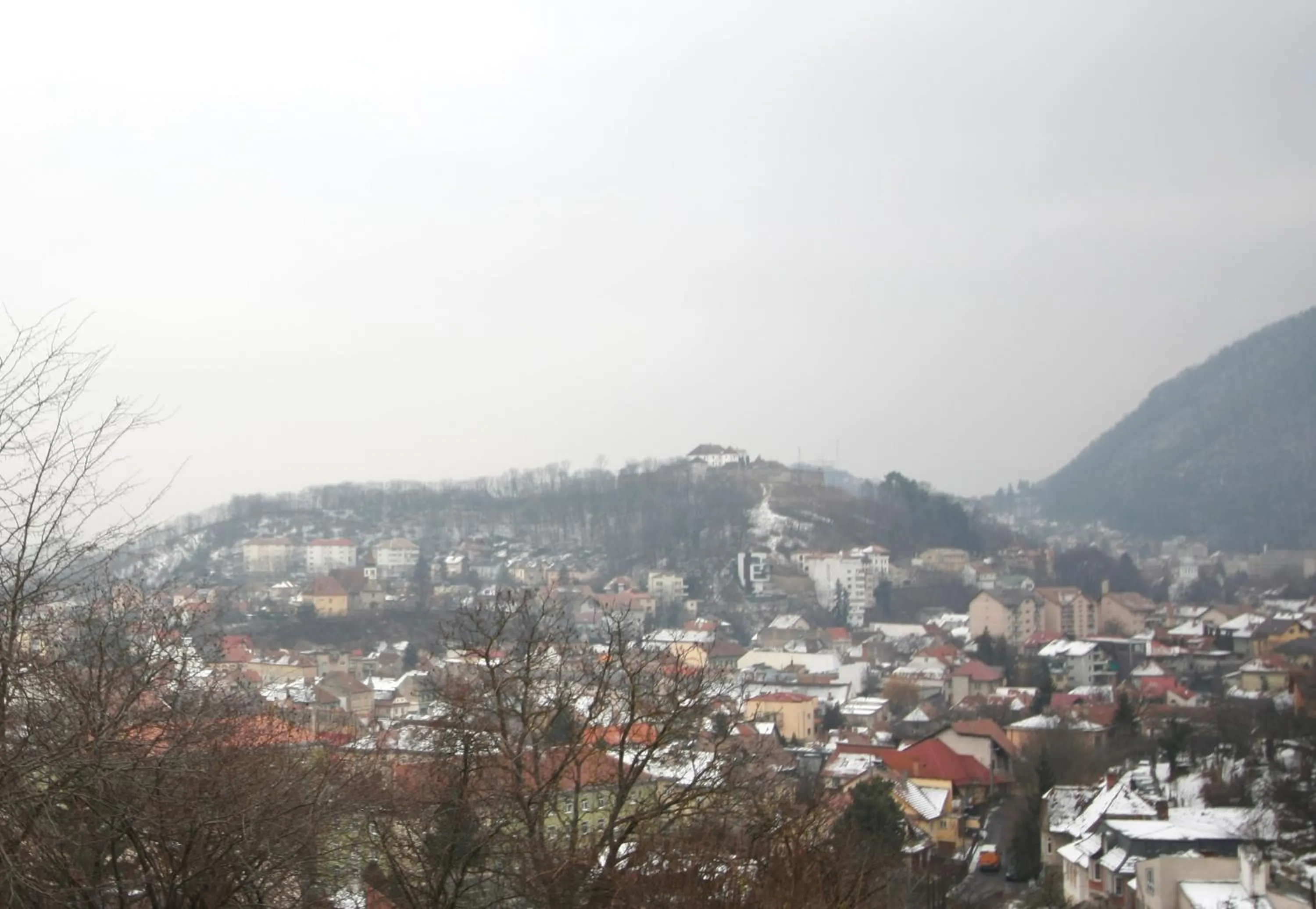 The Pines Boutique Villa