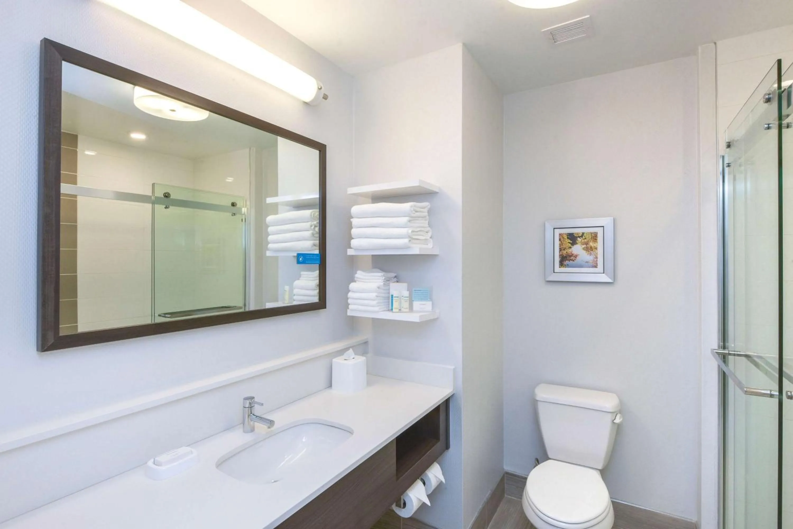 Bathroom in Hampton Inn Lumberton, NC