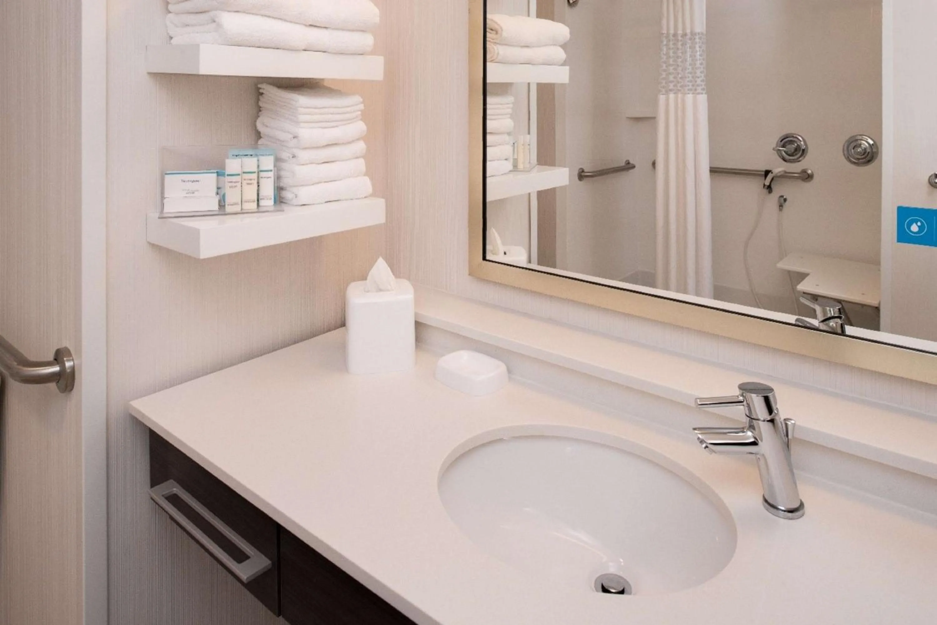 Bathroom in Hampton Inn - Paragould