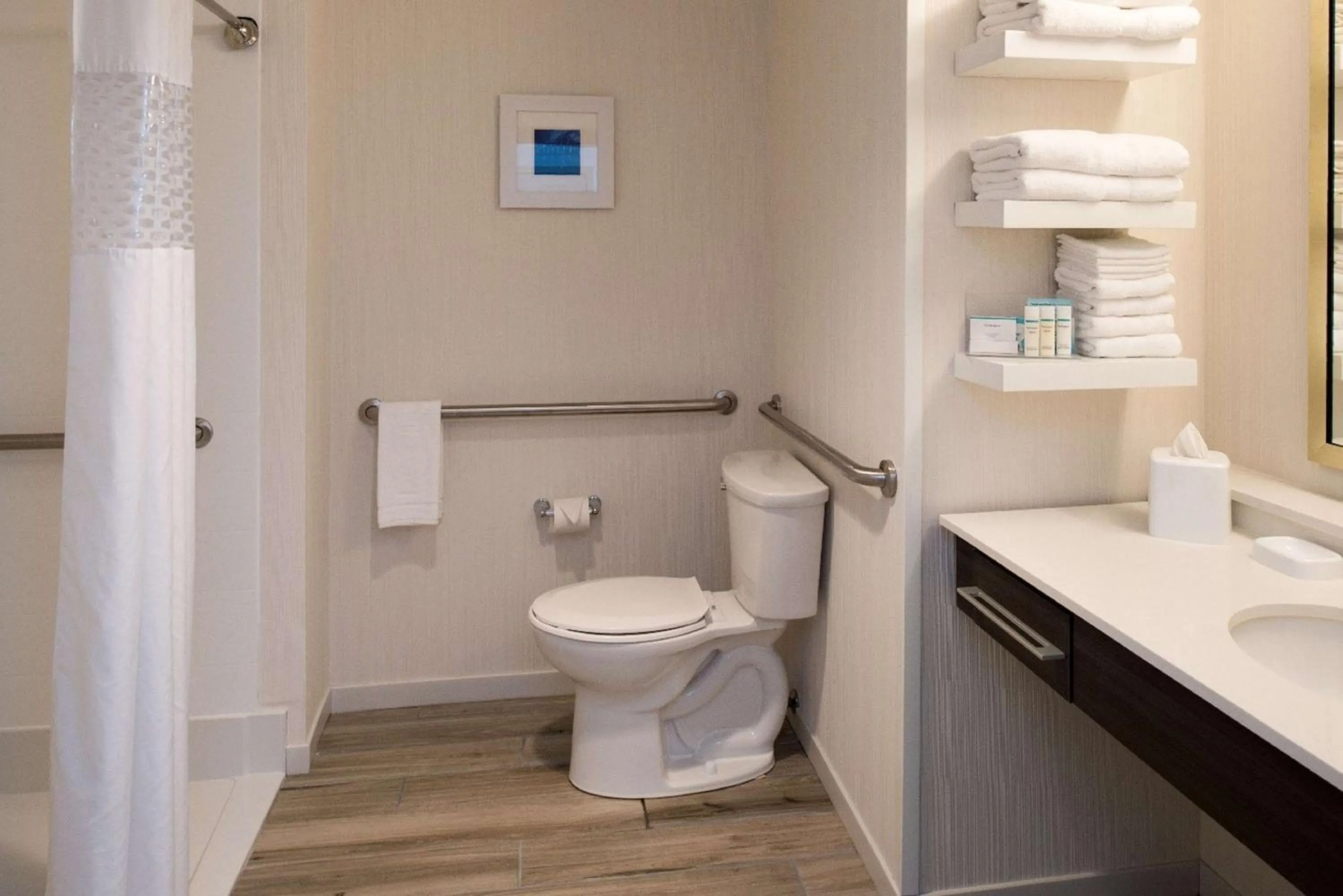 Bathroom in Hampton Inn - Paragould