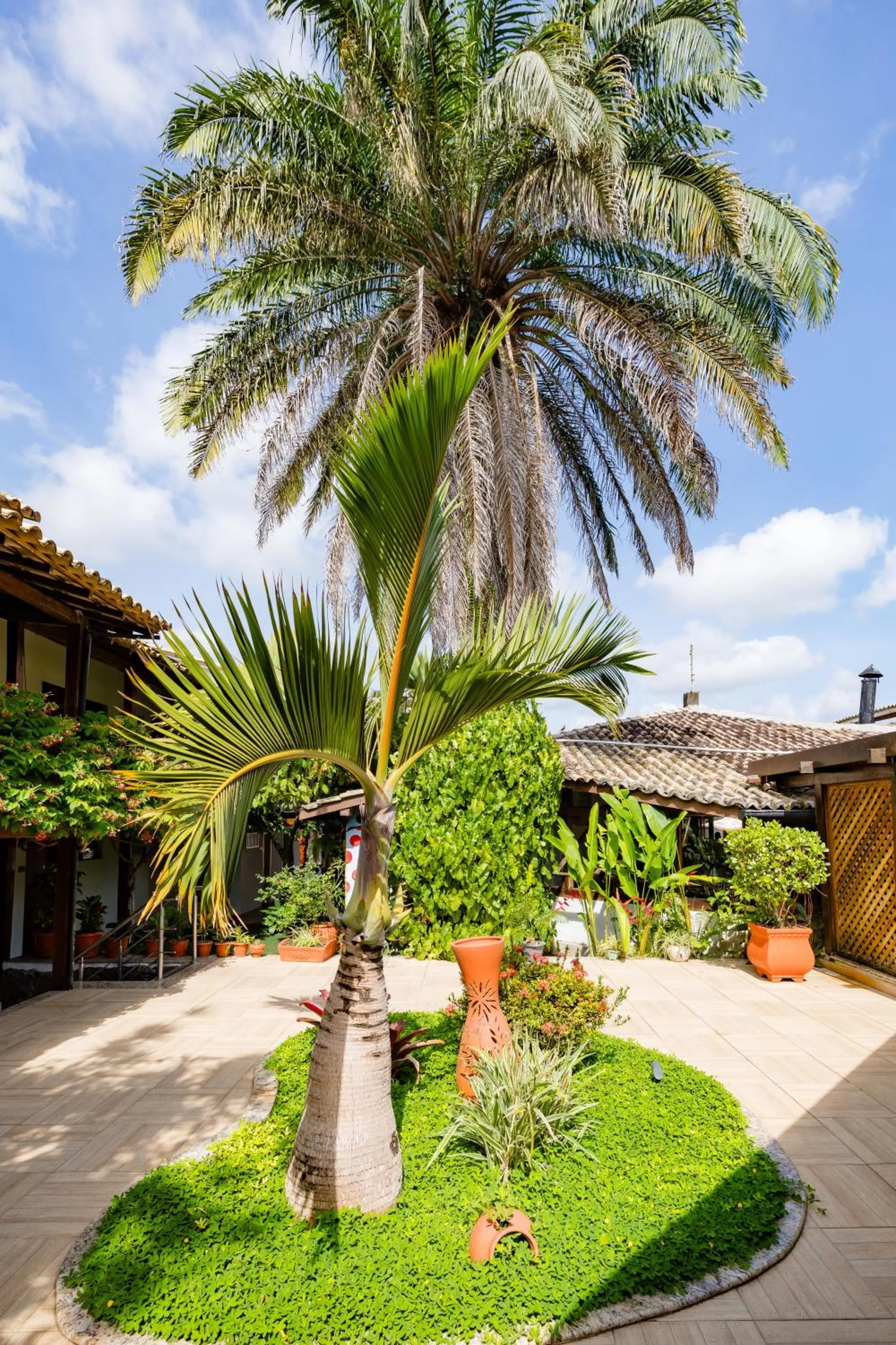 Garden in Hotel Casa Blanca Porto Seguro