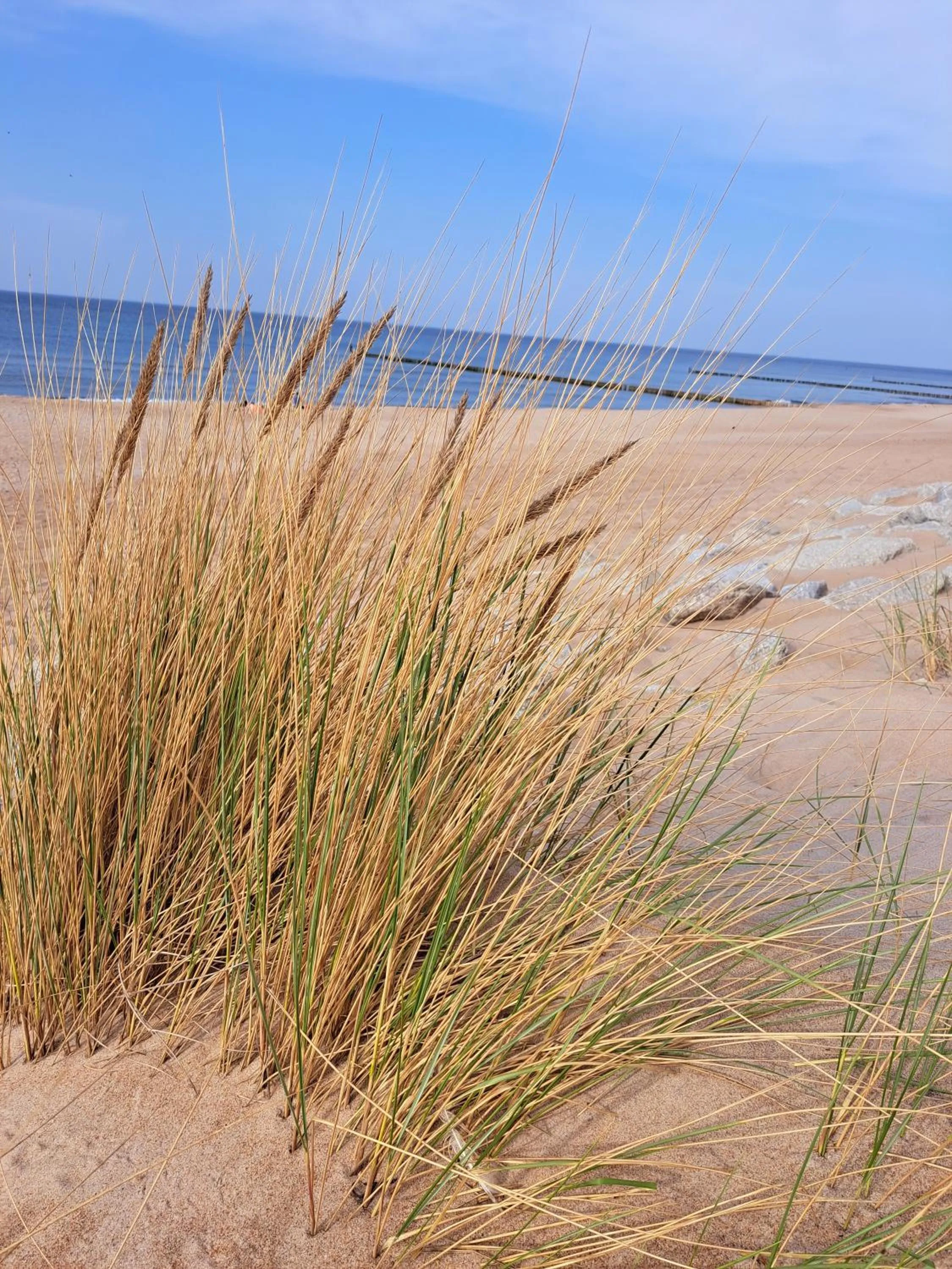 Nearby landmark in Tropikana Domki, Apartamenty