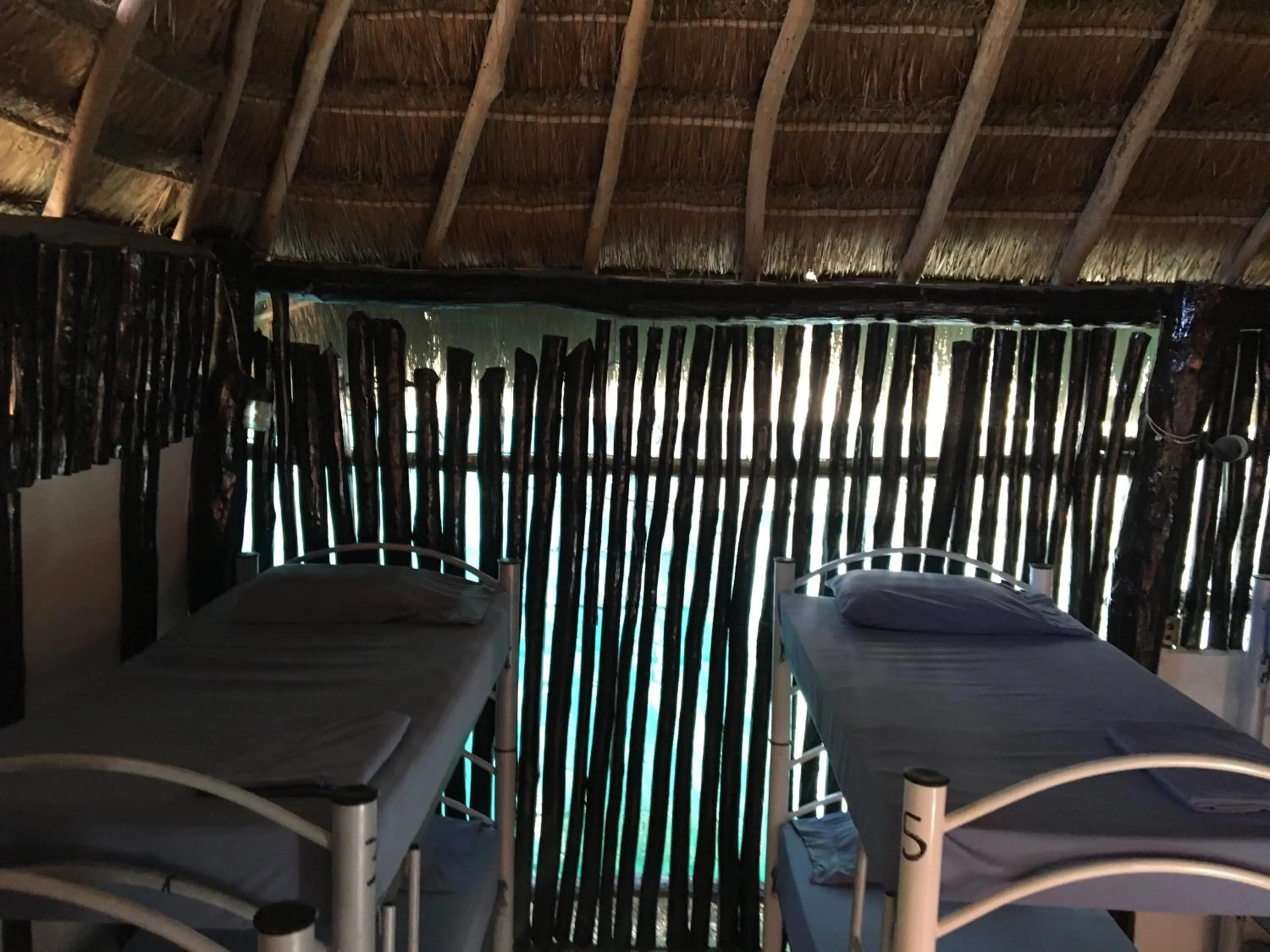 Photo of the whole room in Hostal Cha Cha Cha