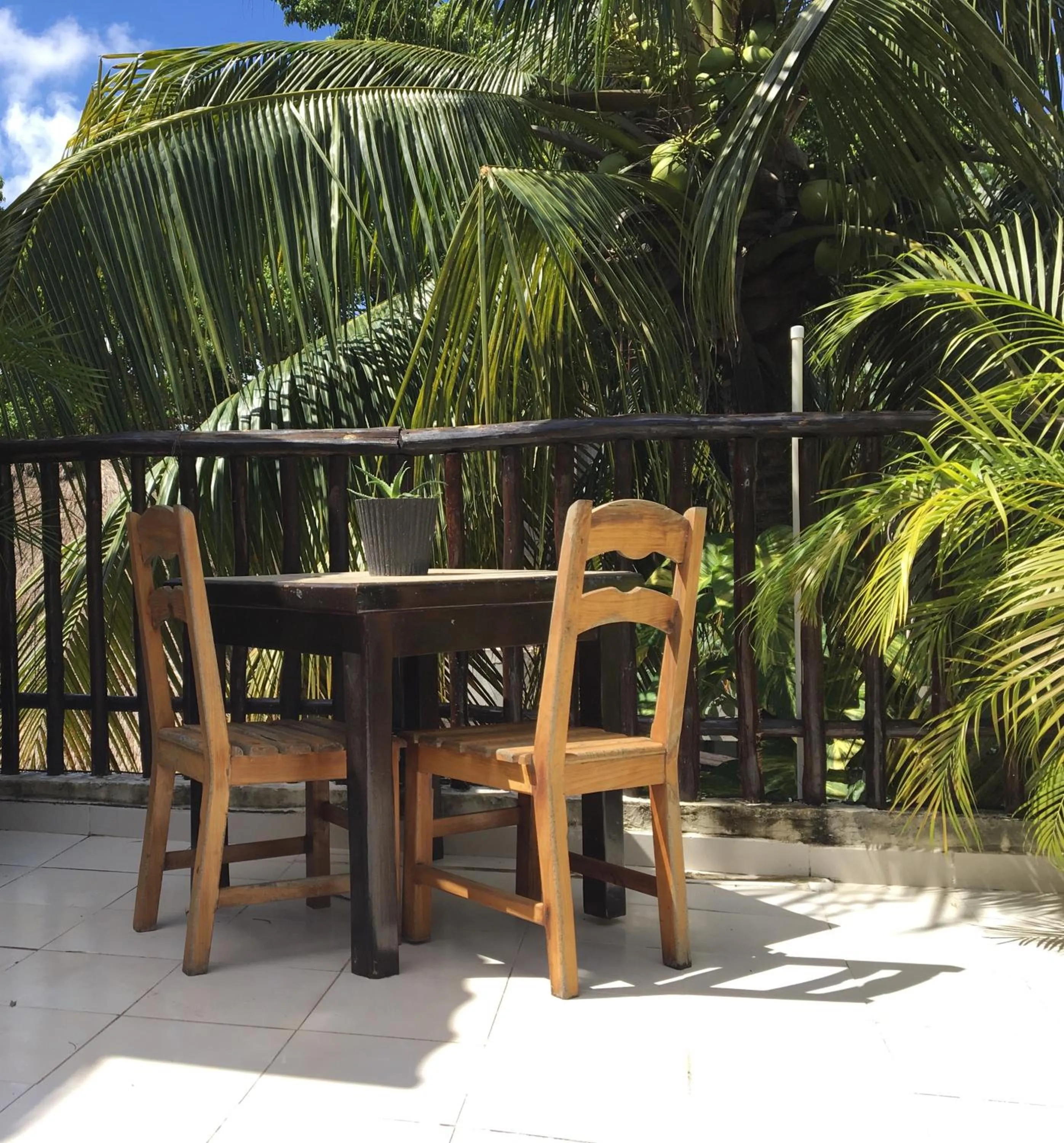 Balcony/Terrace in Hostal Cha Cha Cha