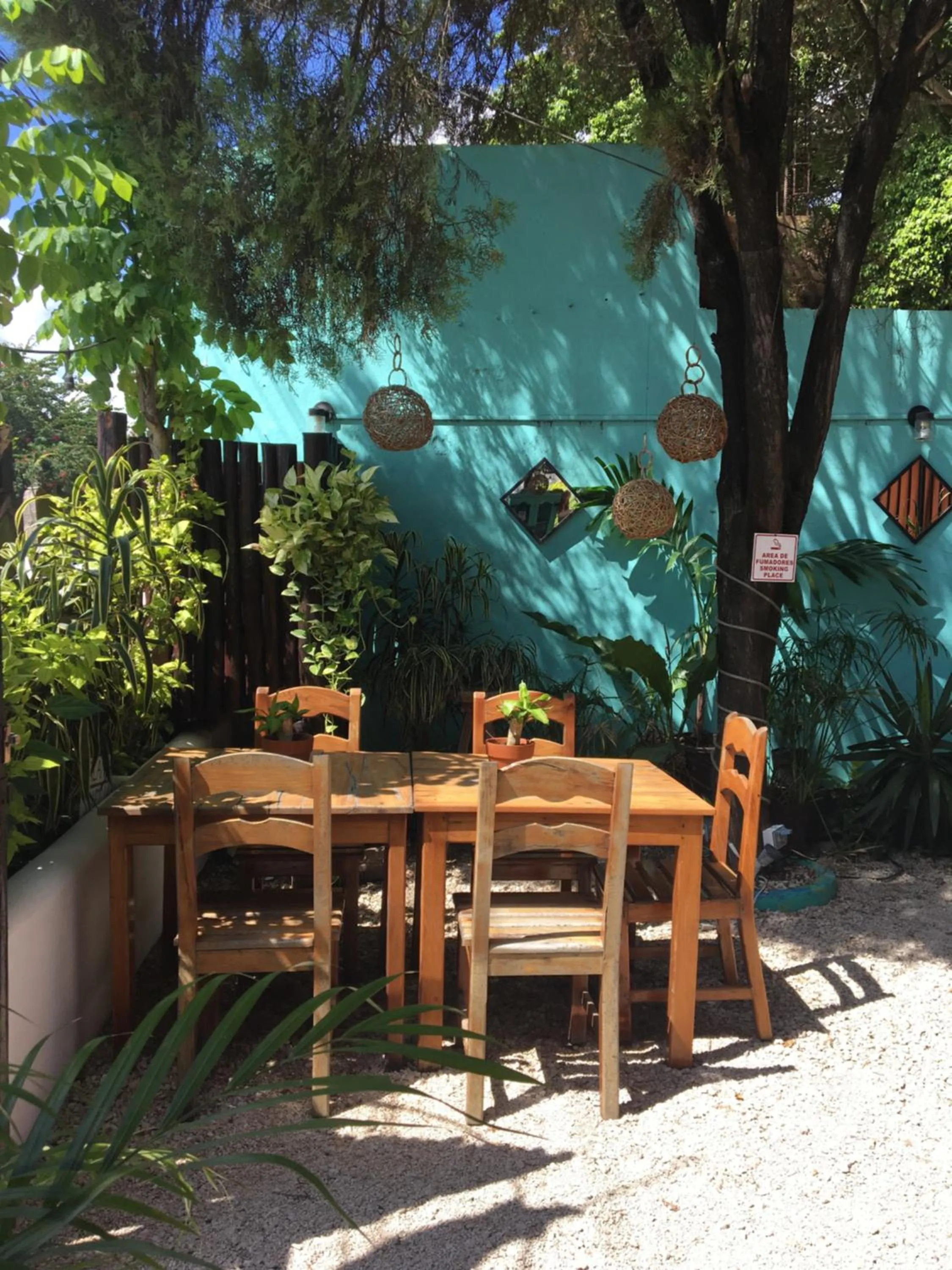 Other in Hostal Cha Cha Cha