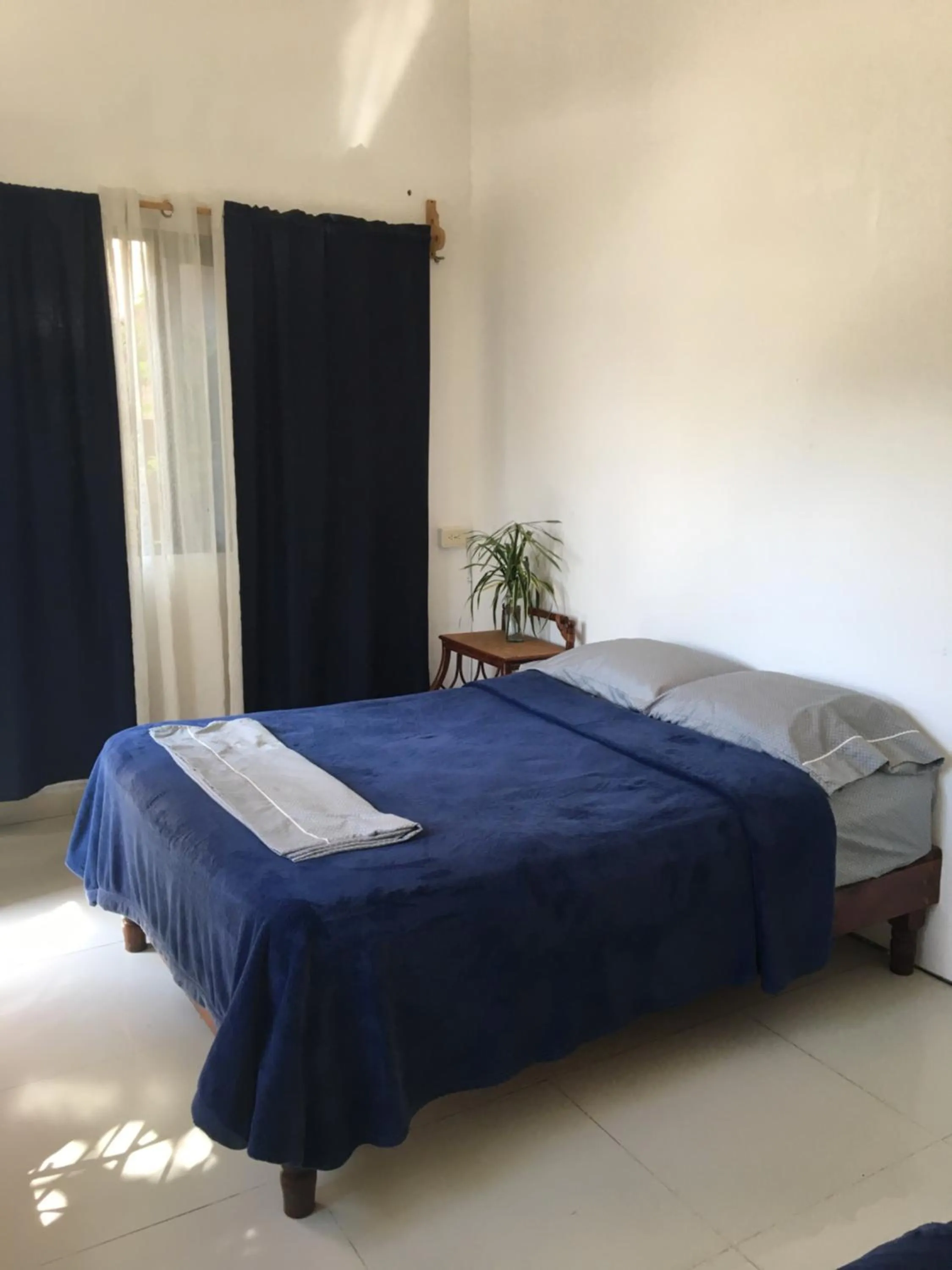 Bed in Hostal Cha Cha Cha