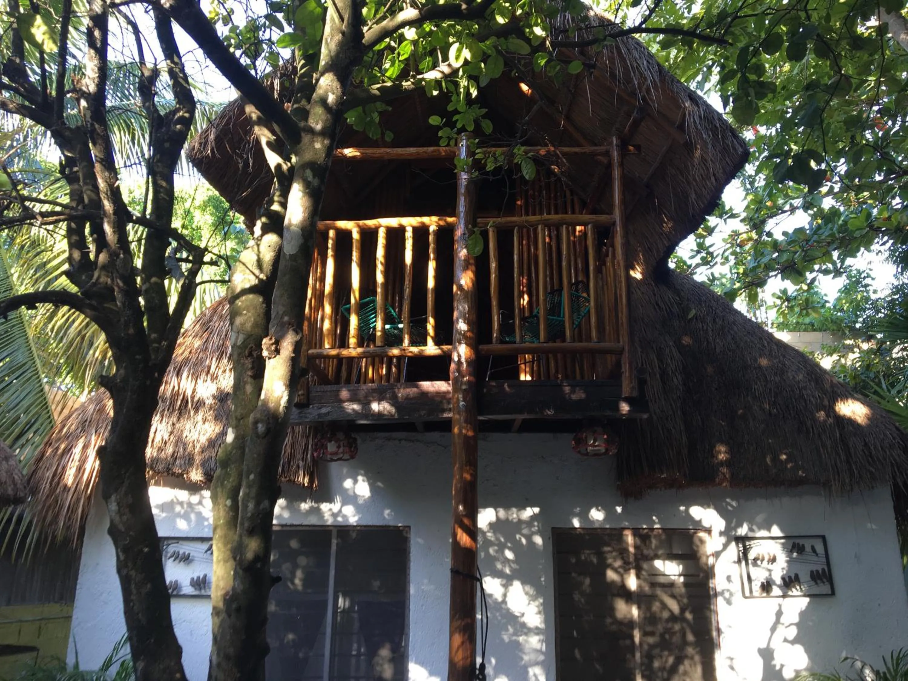 Property building in Hostal Cha Cha Cha