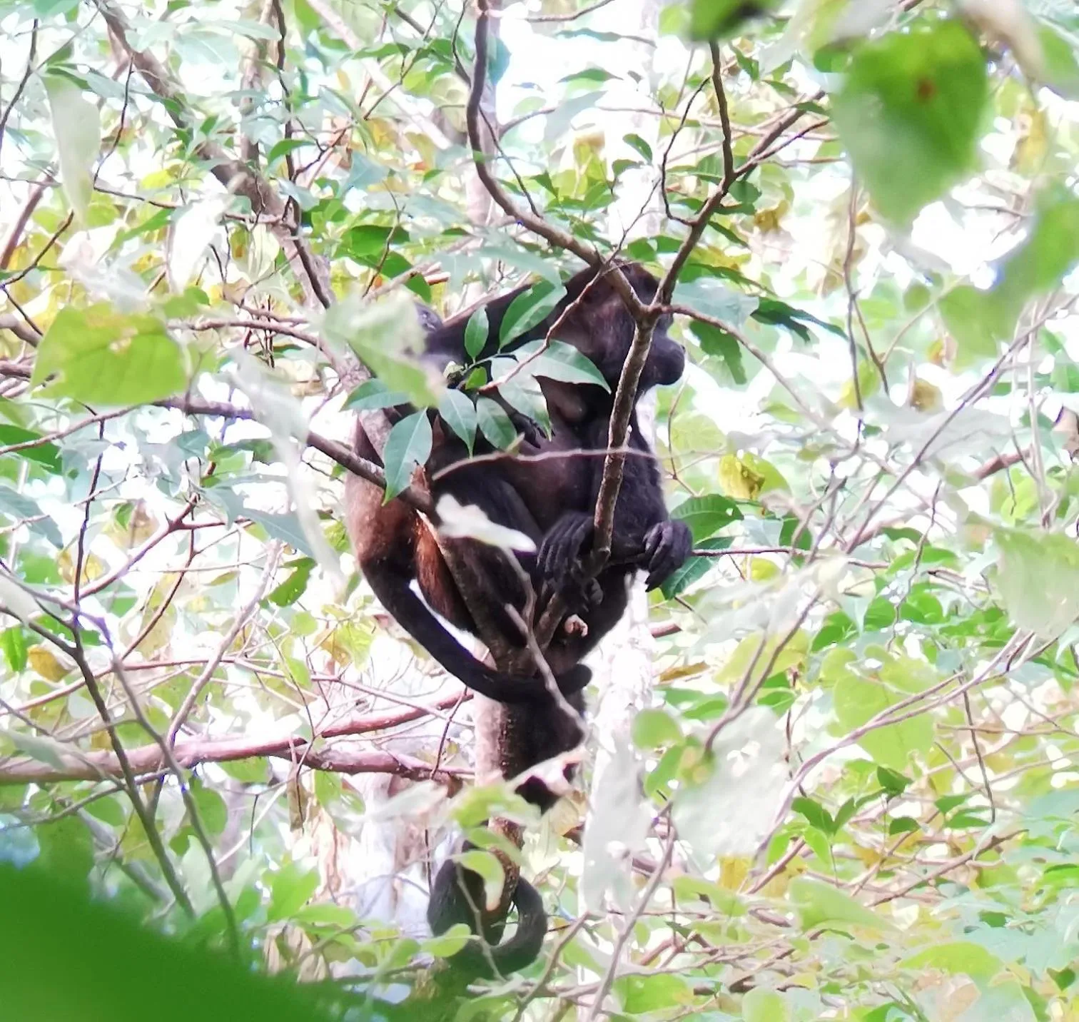 Natural landscape in Hotel Boutique Lagarta Lodge