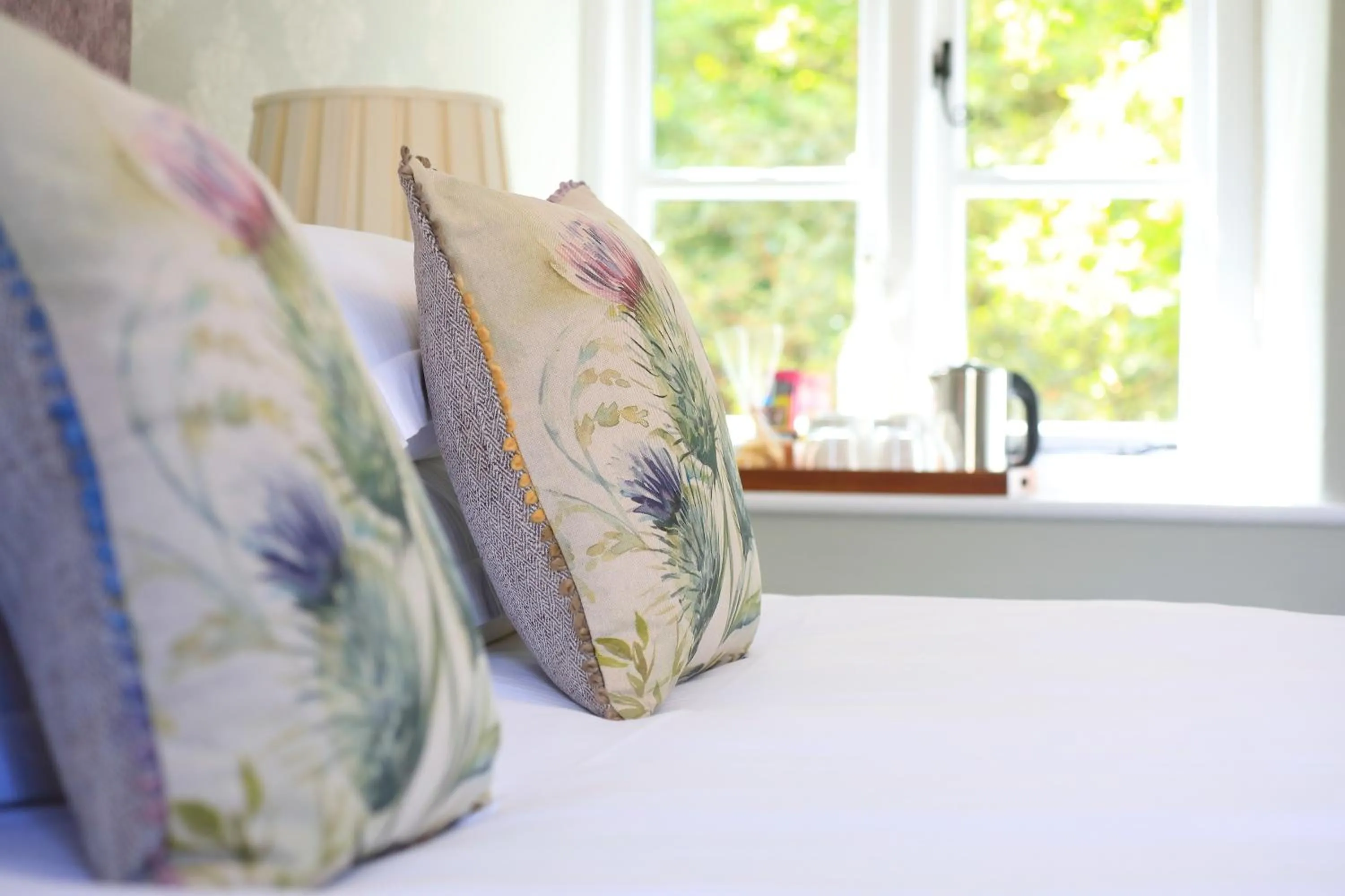 Virginia House Bed & Breakfast