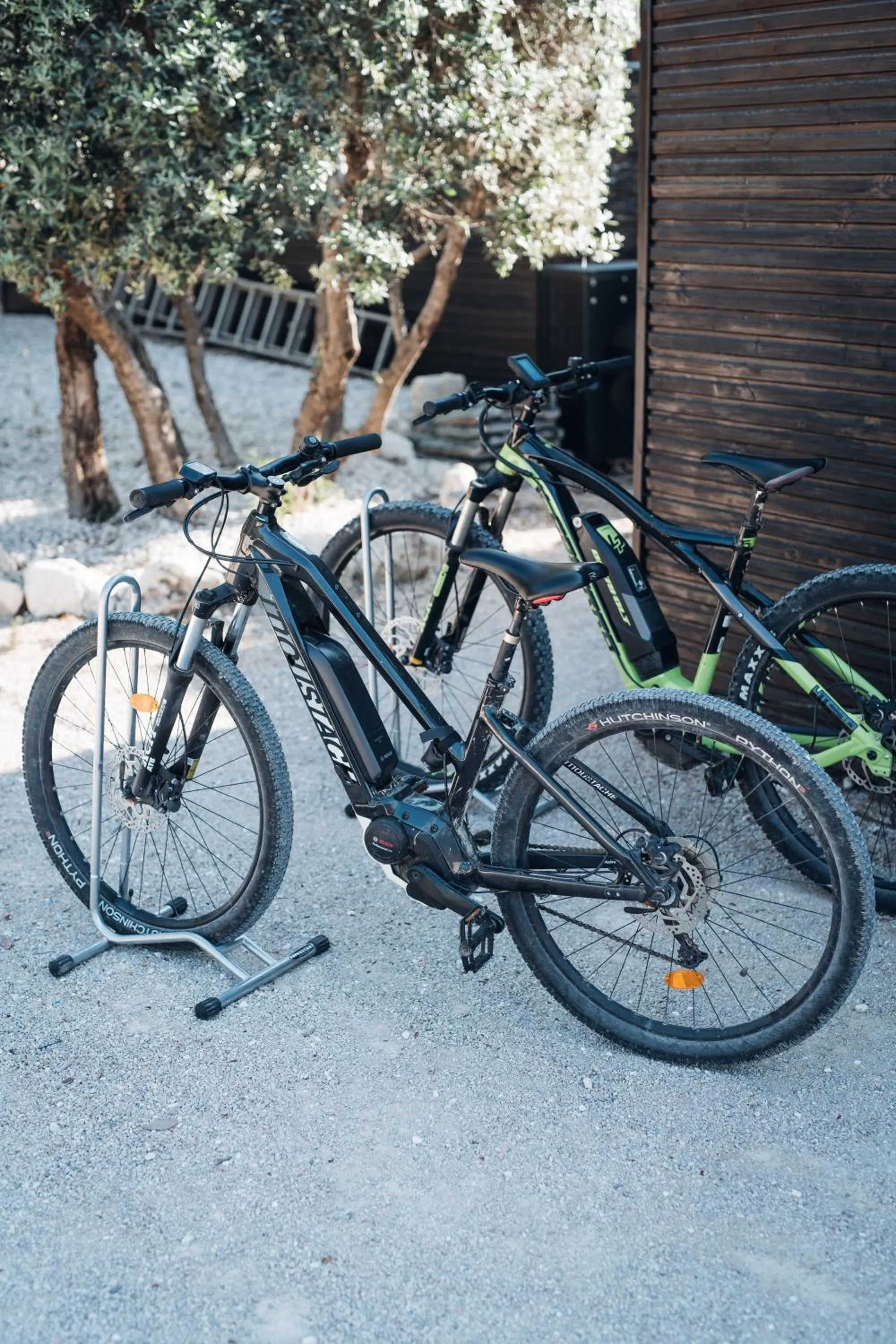 Day in Mas des Cigales