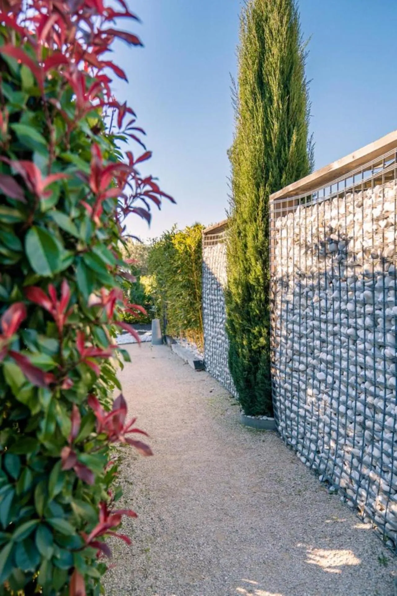 Garden in Mas des Cigales