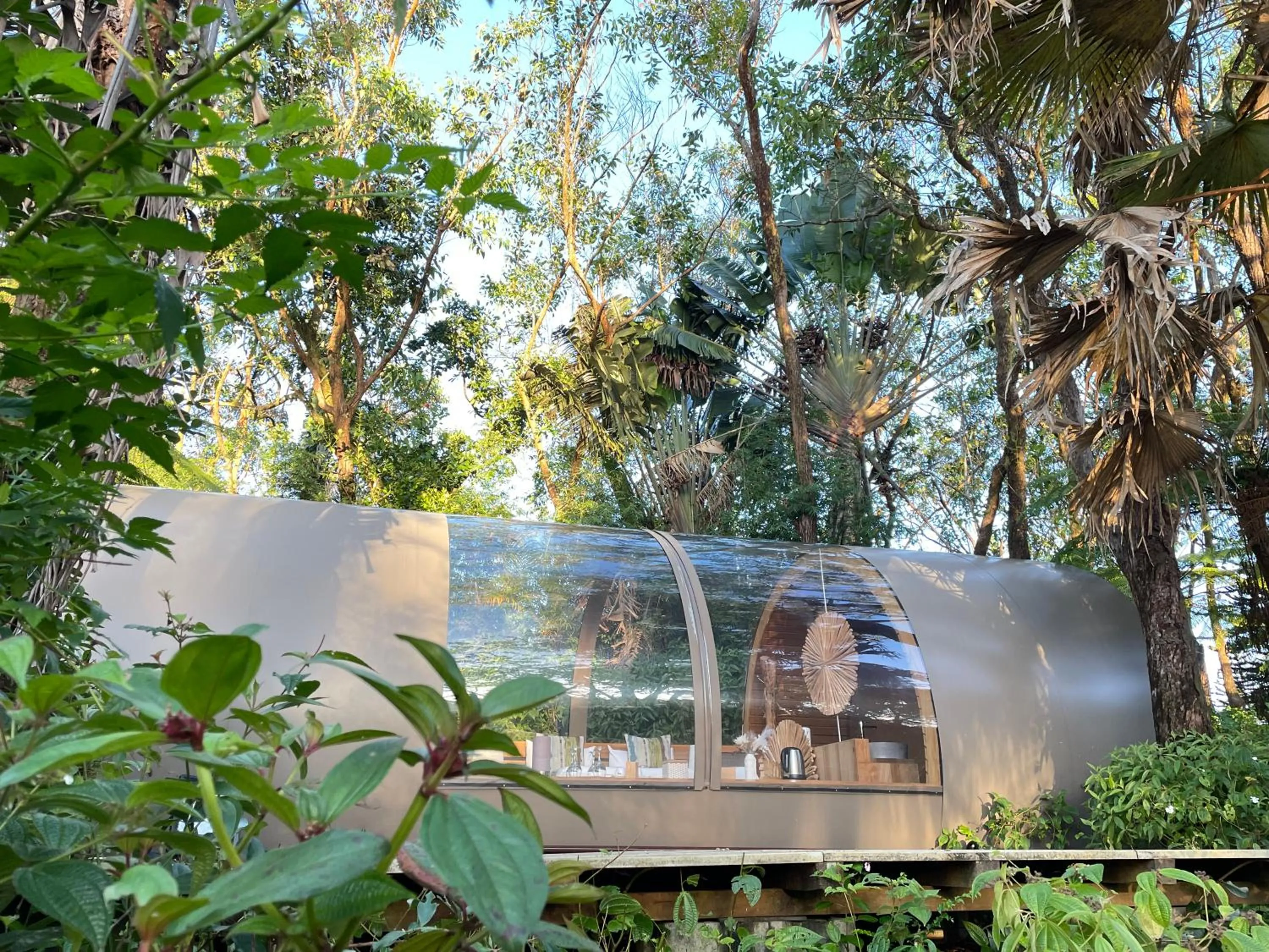 Photo of the whole room in Bubble Lodge Bois Chéri Plantation