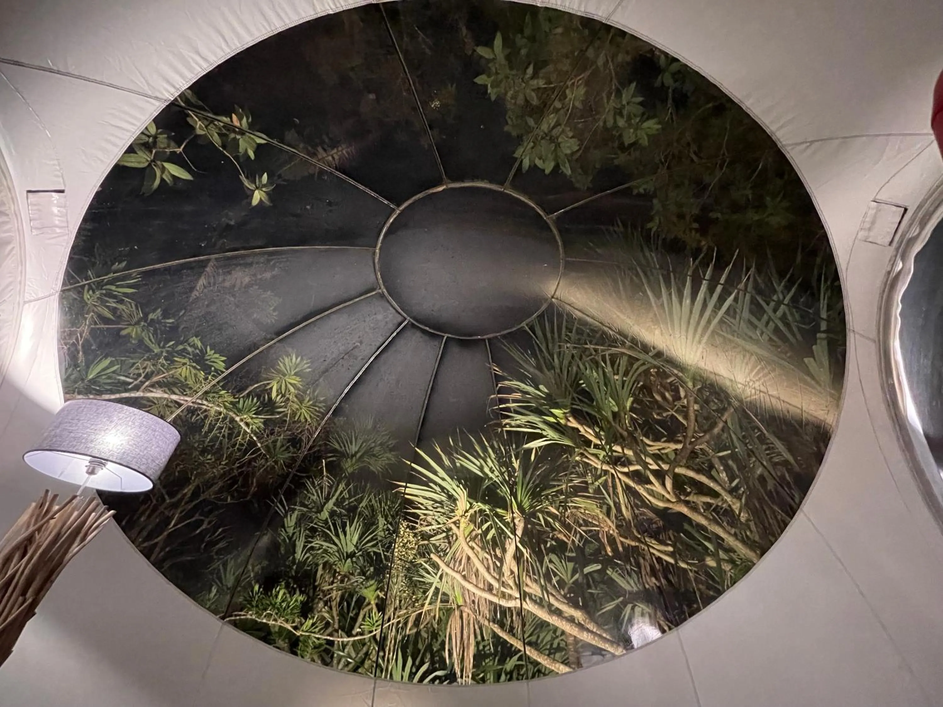 Photo of the whole room in Bubble Lodge Bois Chéri Plantation