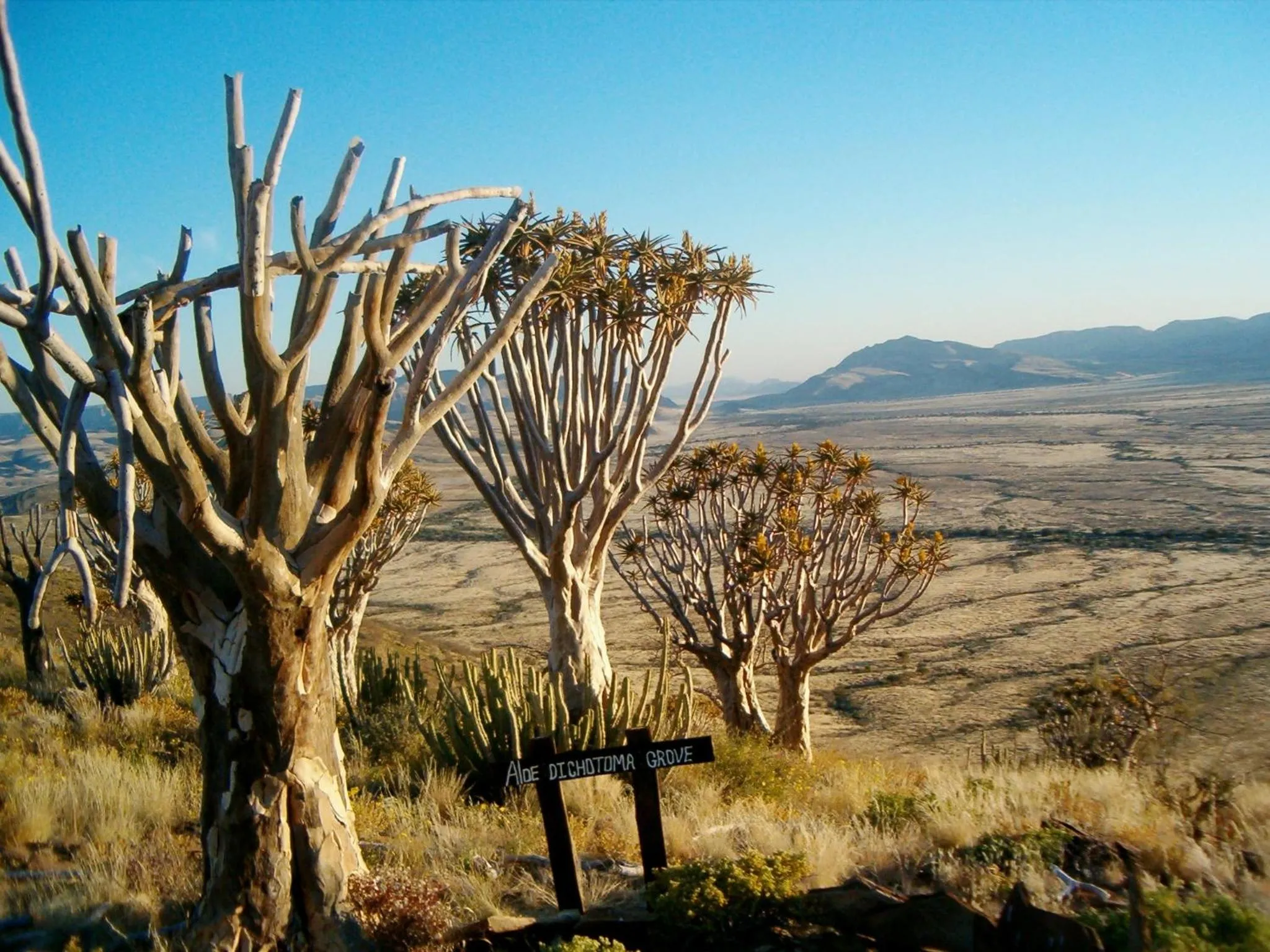 Natural landscape in Tsauchab River Camp