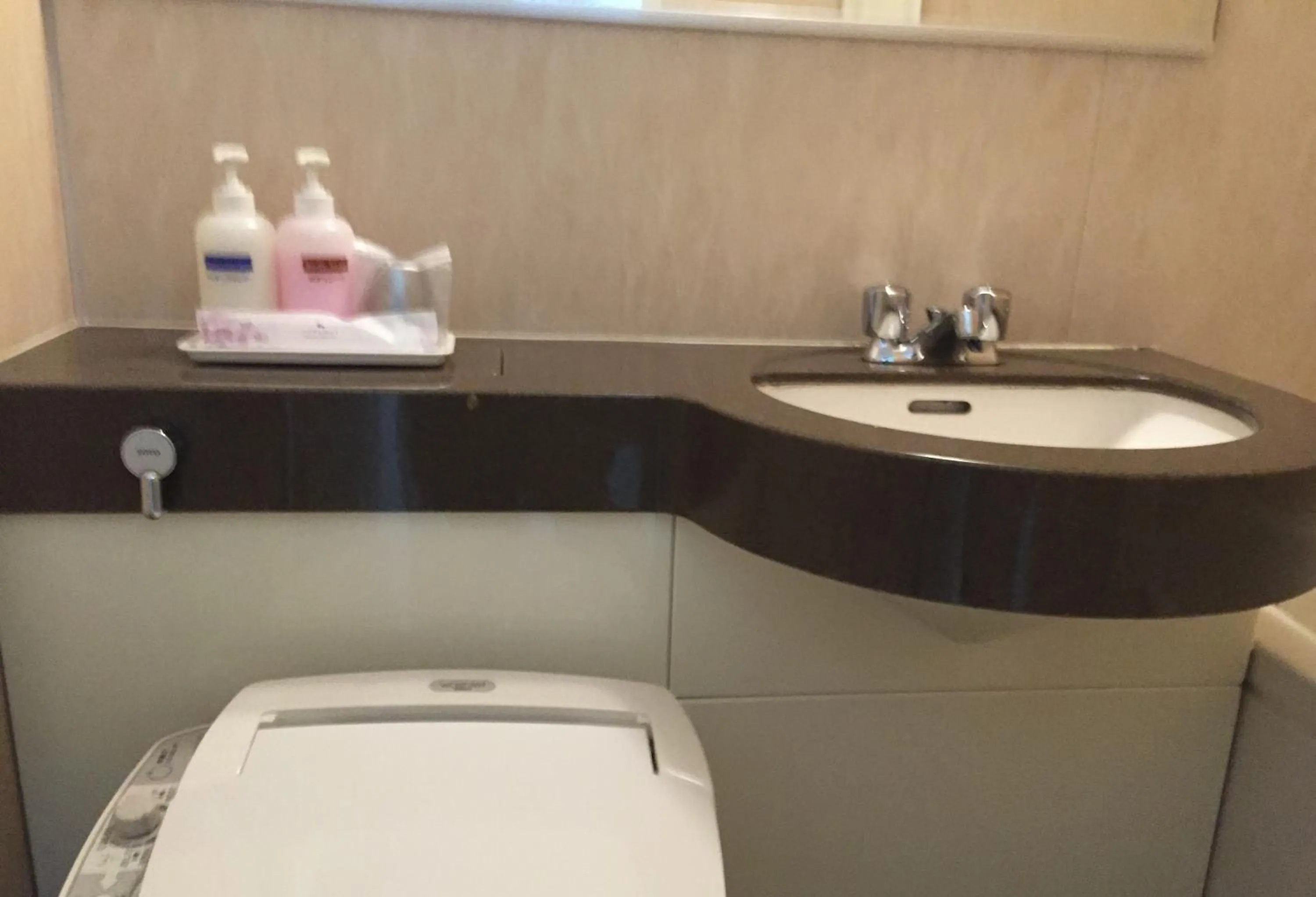 Bathroom in Shinseto Station Hotel