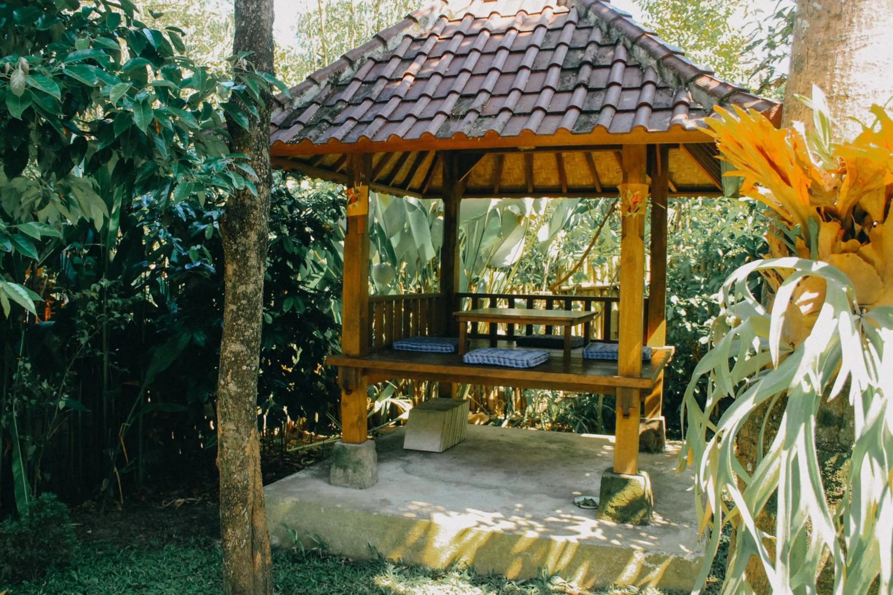 Garden in Ary House Ubud