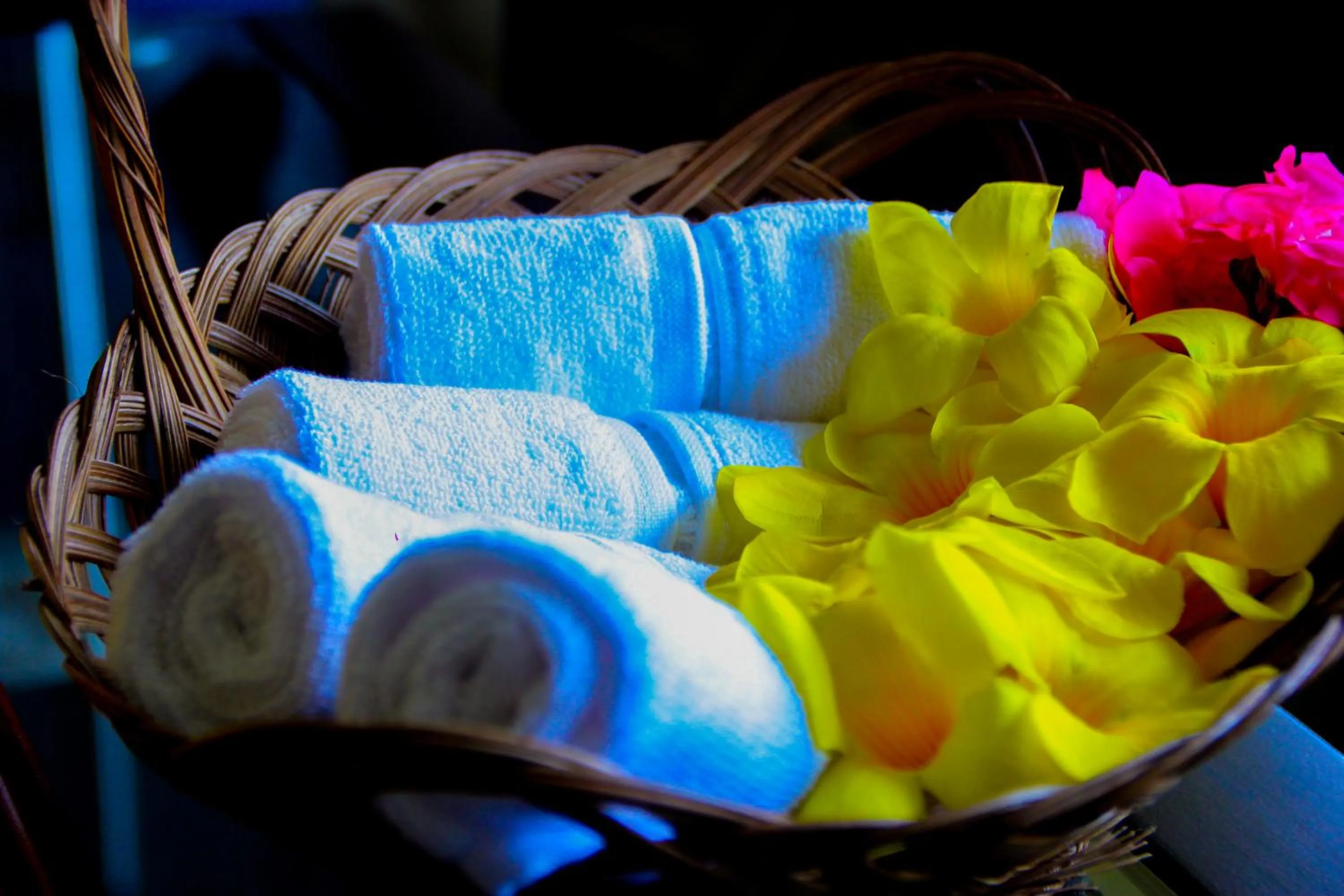 Decorative detail in Sasha Transit Hotel