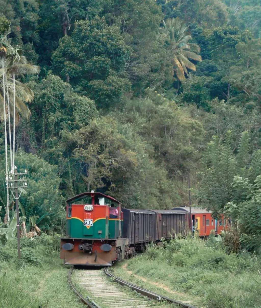 Natural landscape in Dimuthu Home Stay