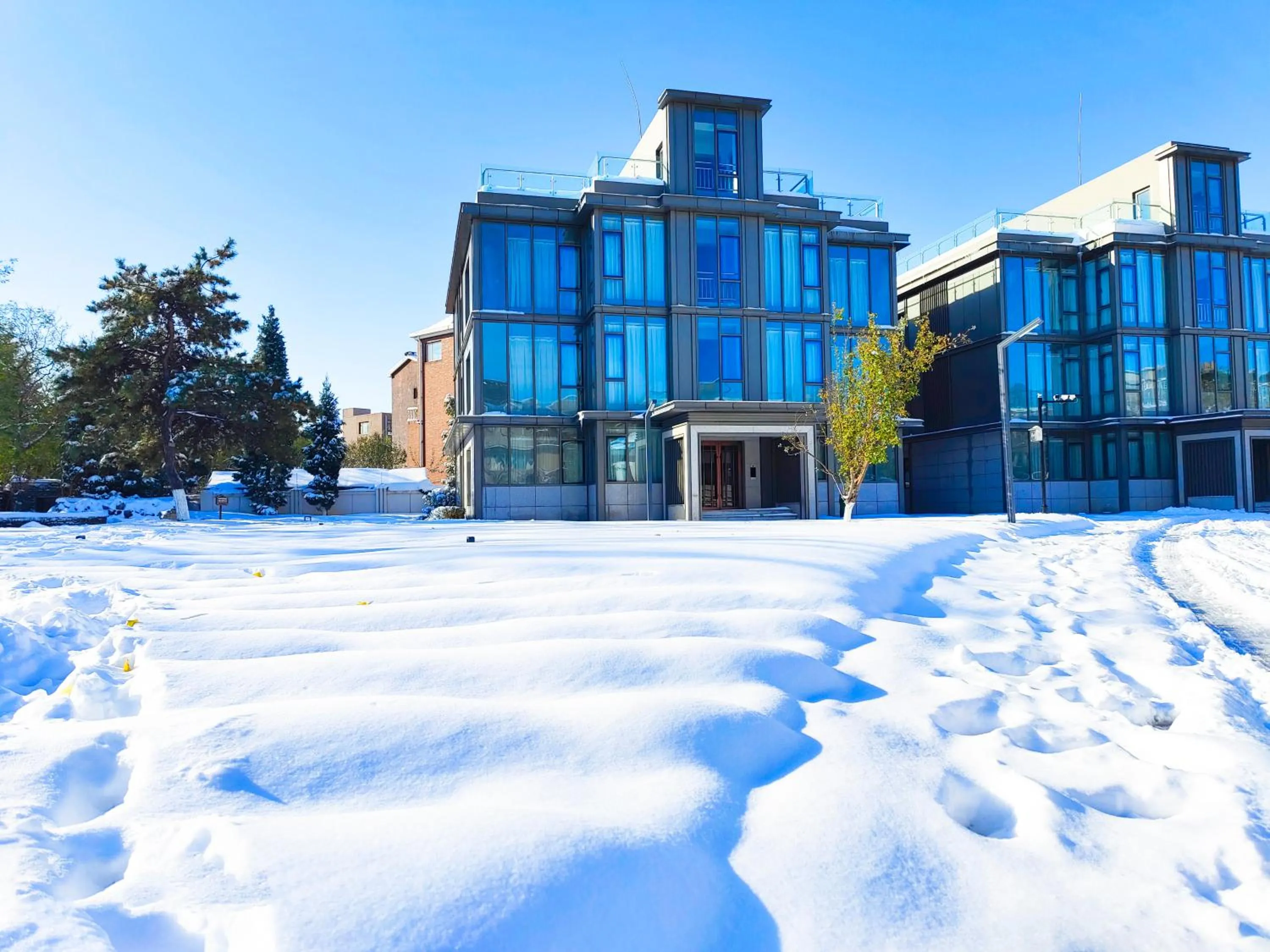 Garden view in Green Park Hotel Tianjin