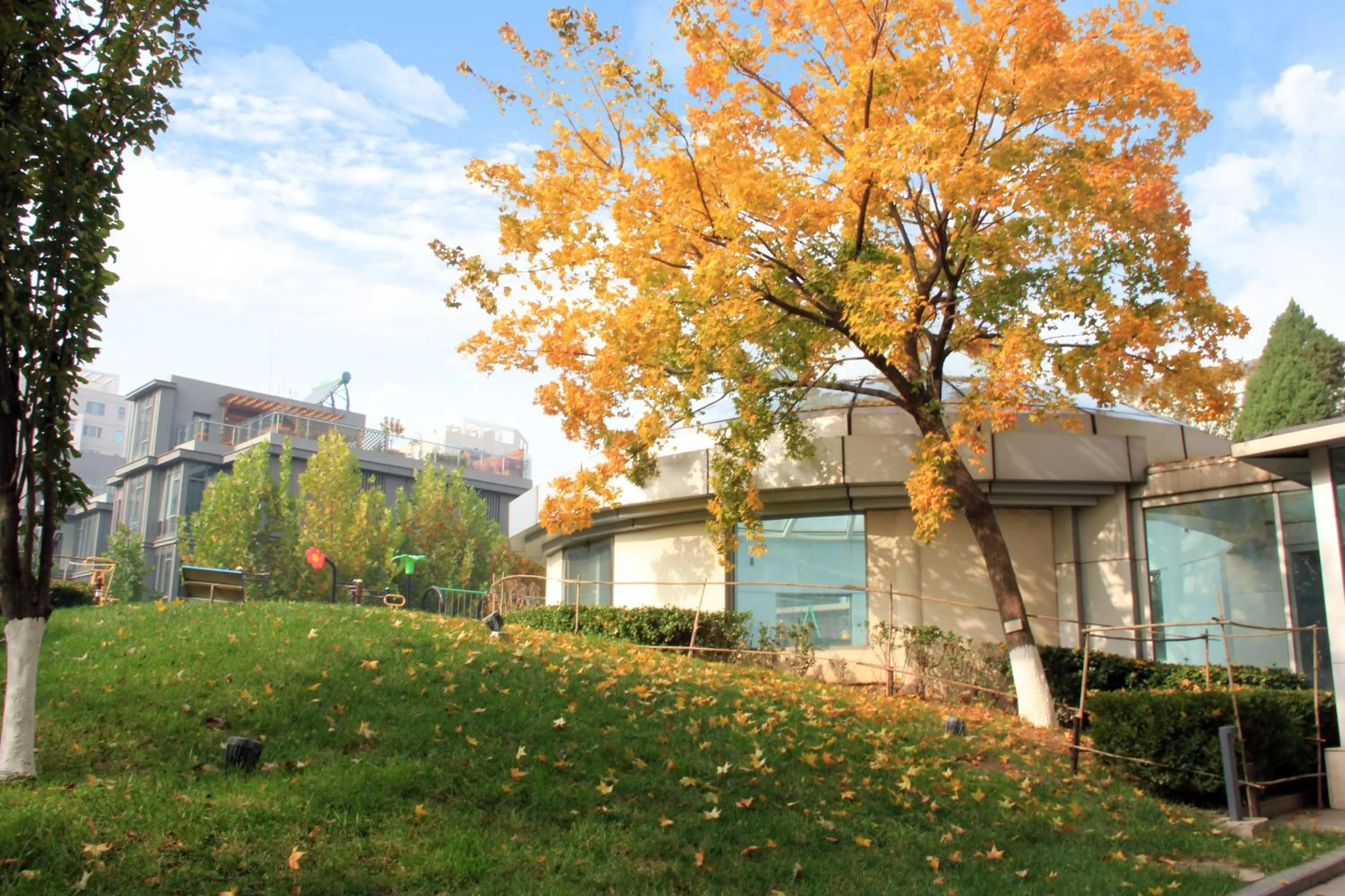 Garden view in Green Park Hotel Tianjin