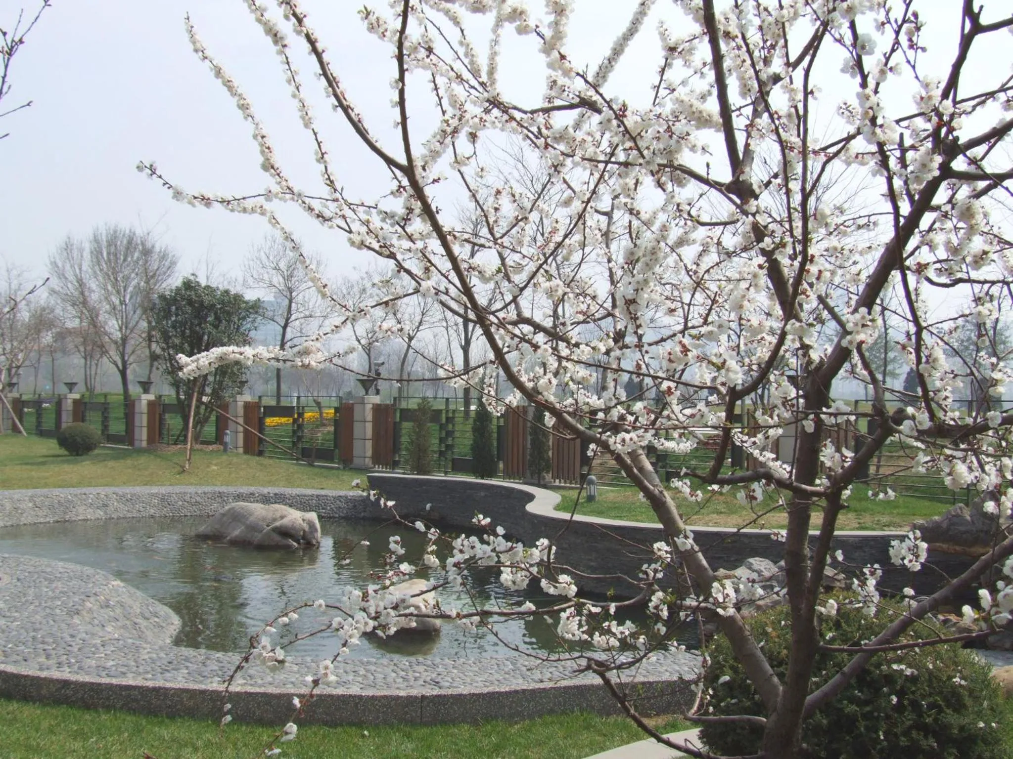Garden view in Green Park Hotel Tianjin